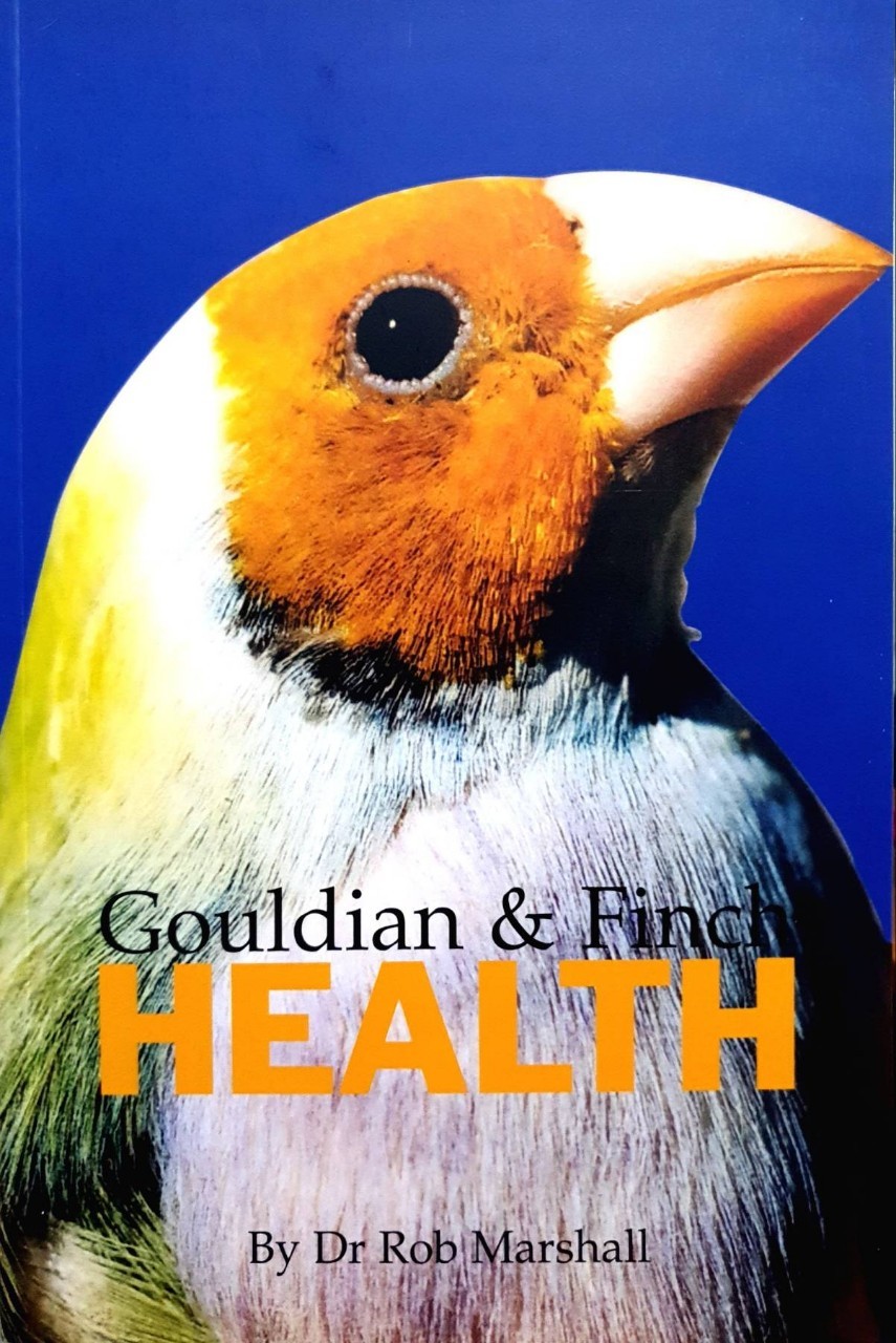 GOULDIAN & FINCH HEALTH : Dr.Rob Marshall