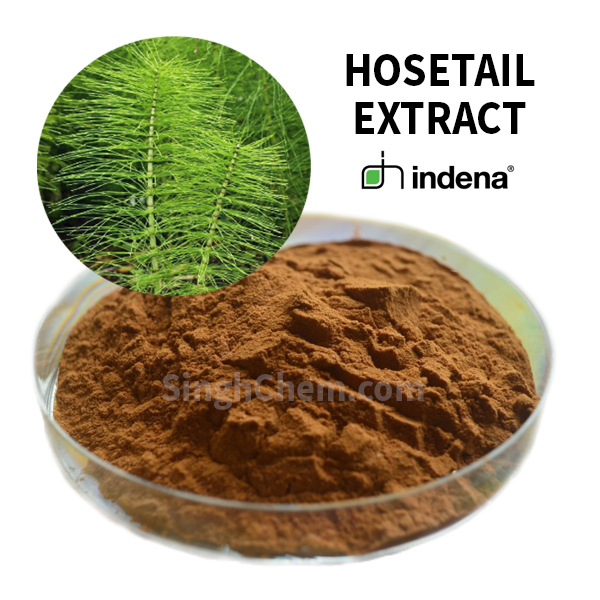 สารสกัดหญ้าหางม้า (Hosetail Extract)