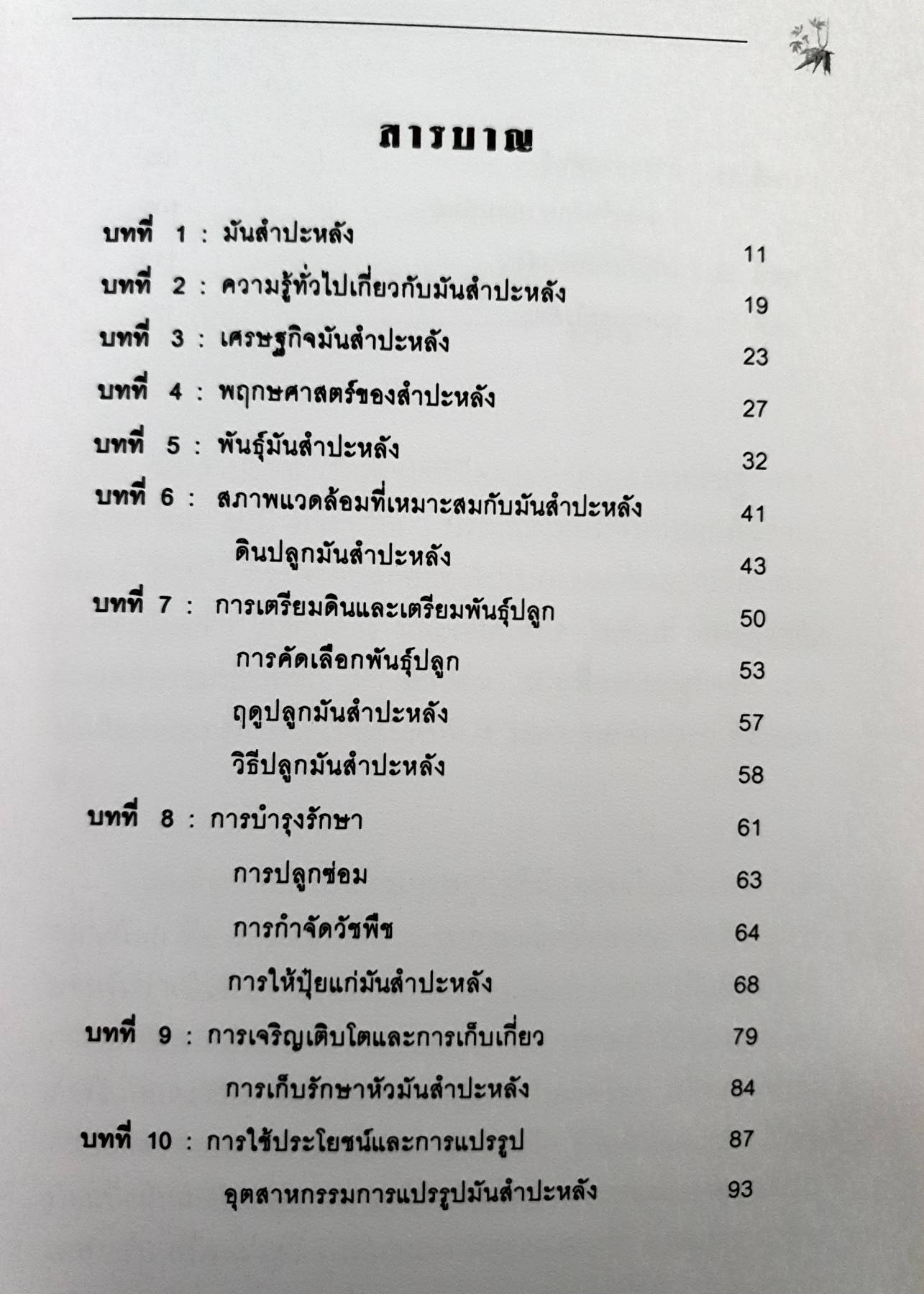 พืชทองค่าใต้ดิน มันสําปะหลัง