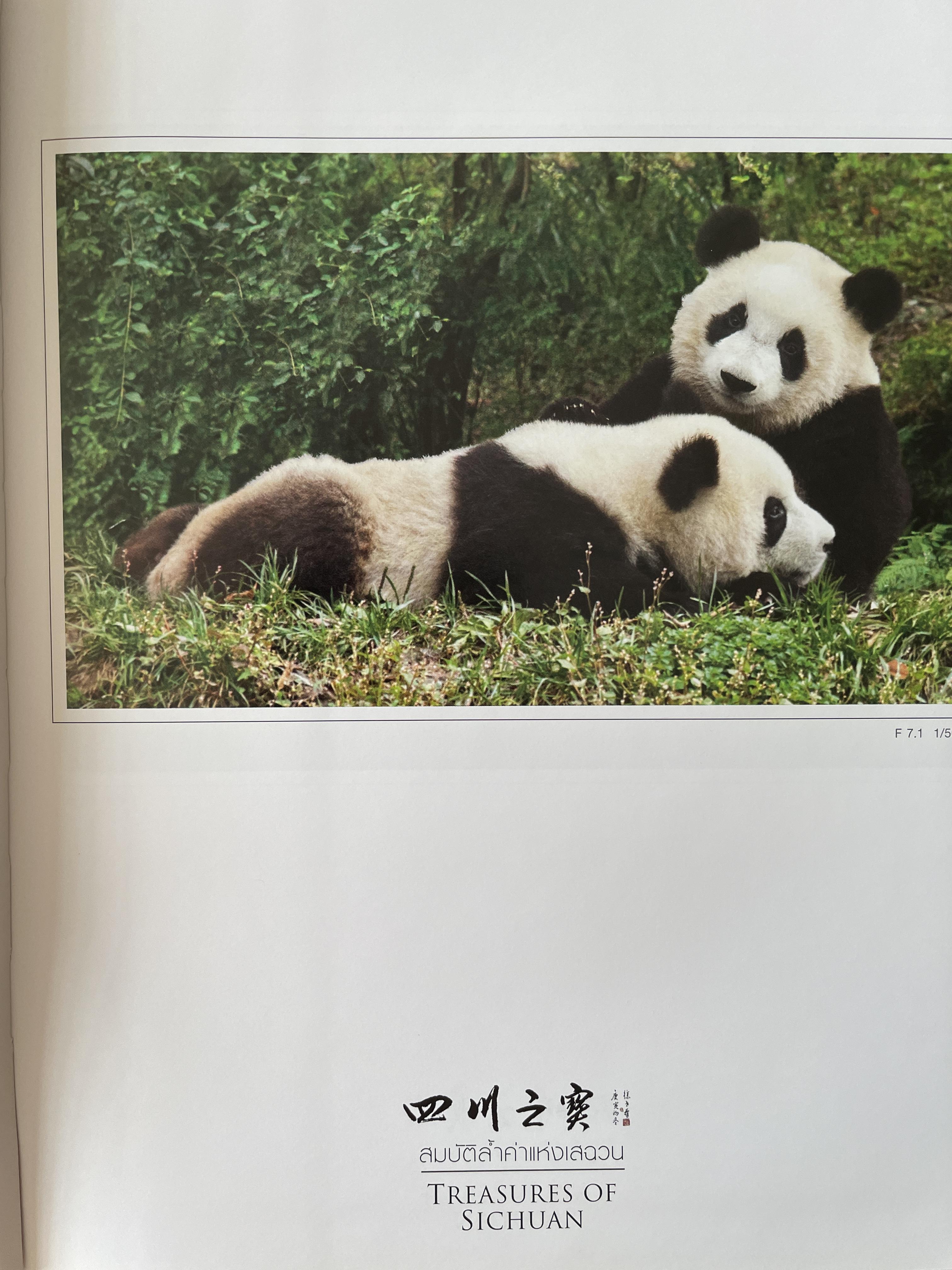 สมบัติล้ำค่าแห่งเสฉวน Treasures of Sichuan. David Lau’s Photo Collection 5 กก. ปกแข็ง