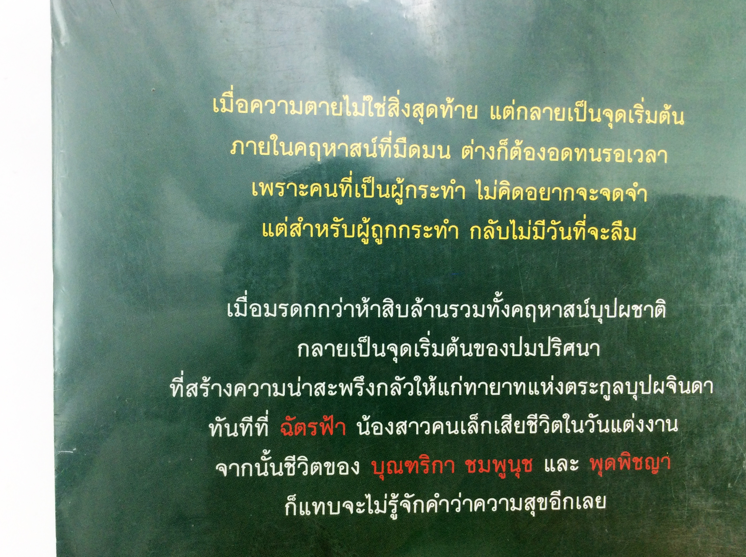 เพลิงบุปผา นิยาย นิยายลดราคา หนังสือ นิยาย