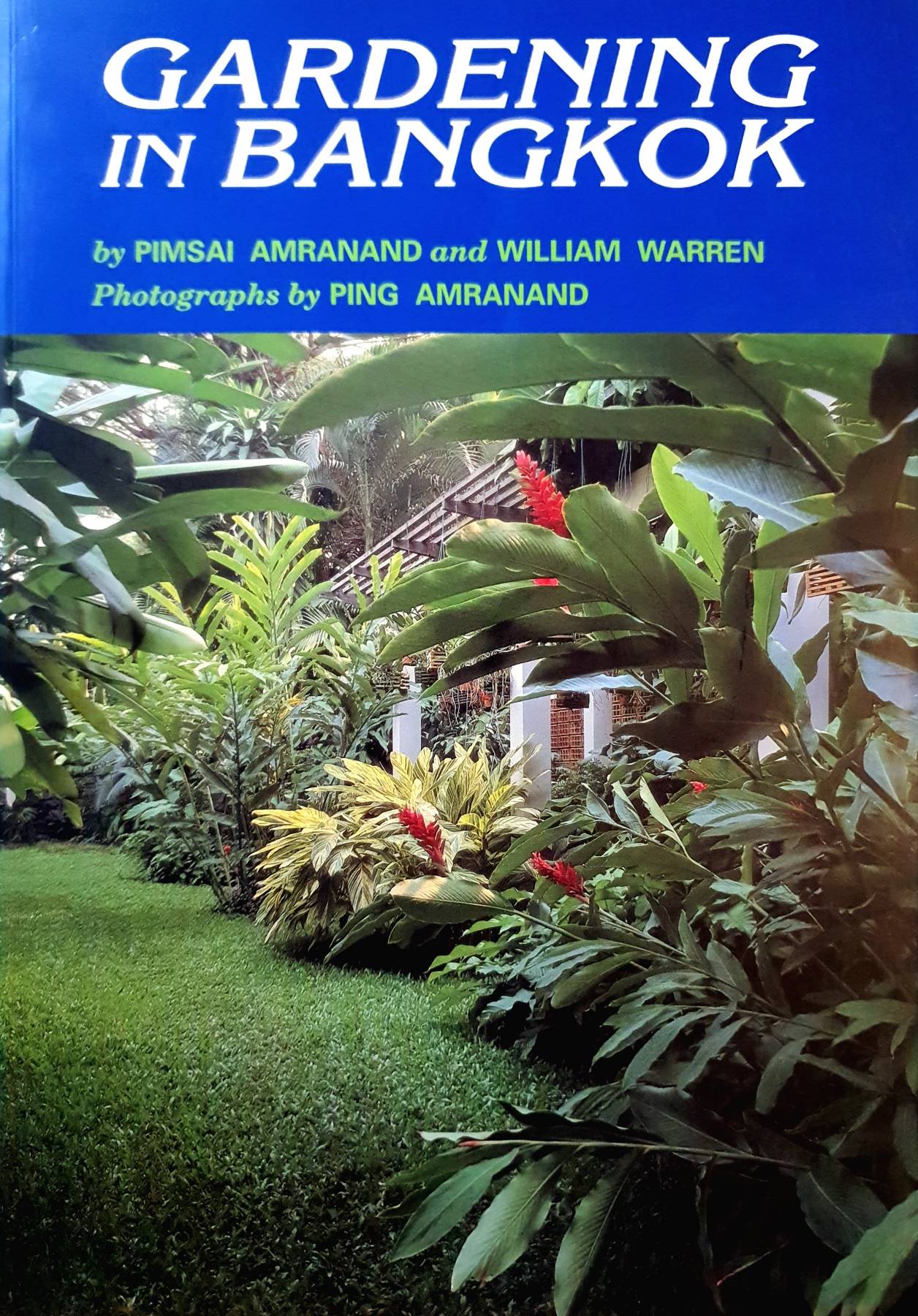 Gardening in Bangkok : Pimsai Amranand