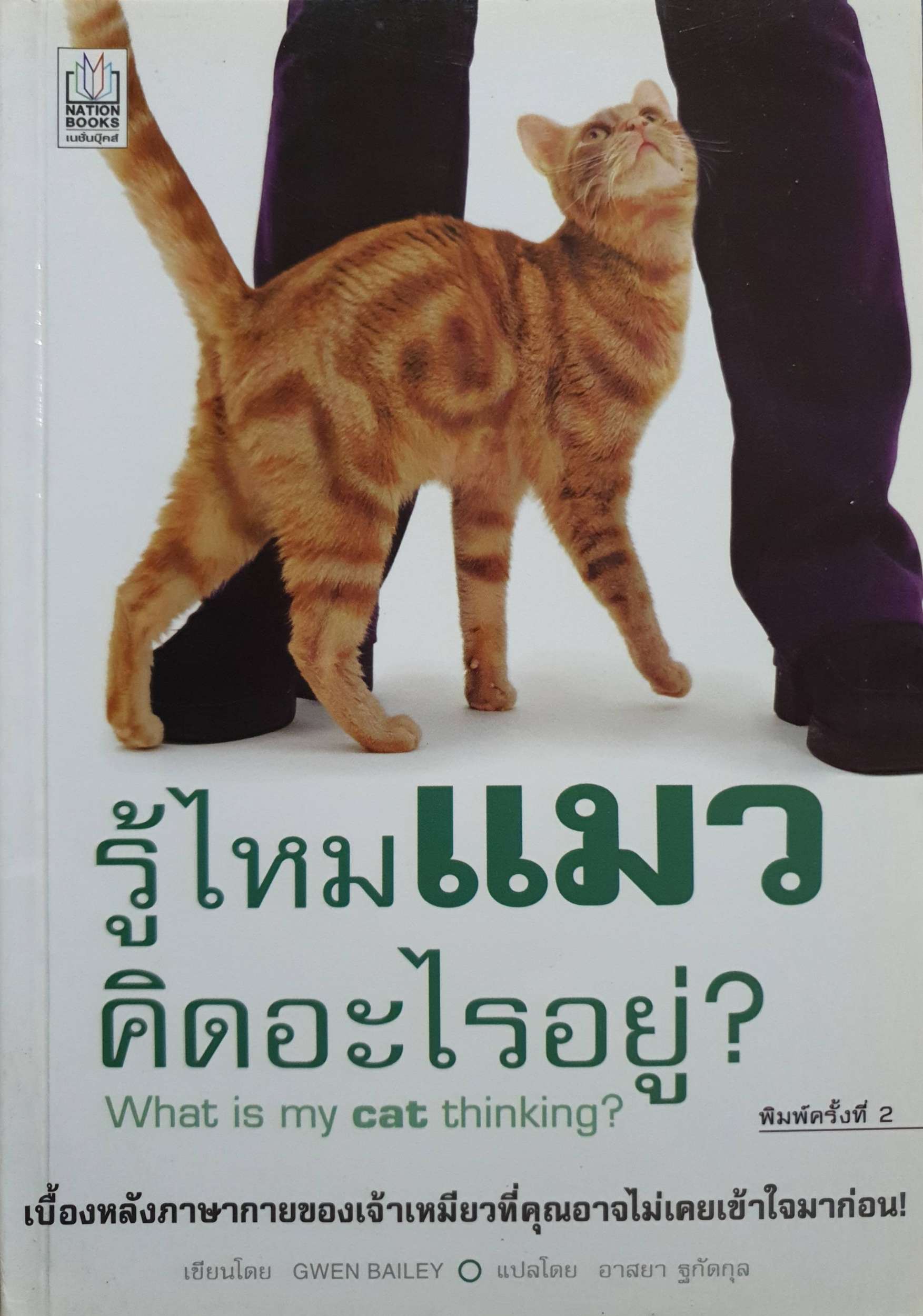 รู้ไหมแมว คิดอะไรอยู่ What is my cat thinking?