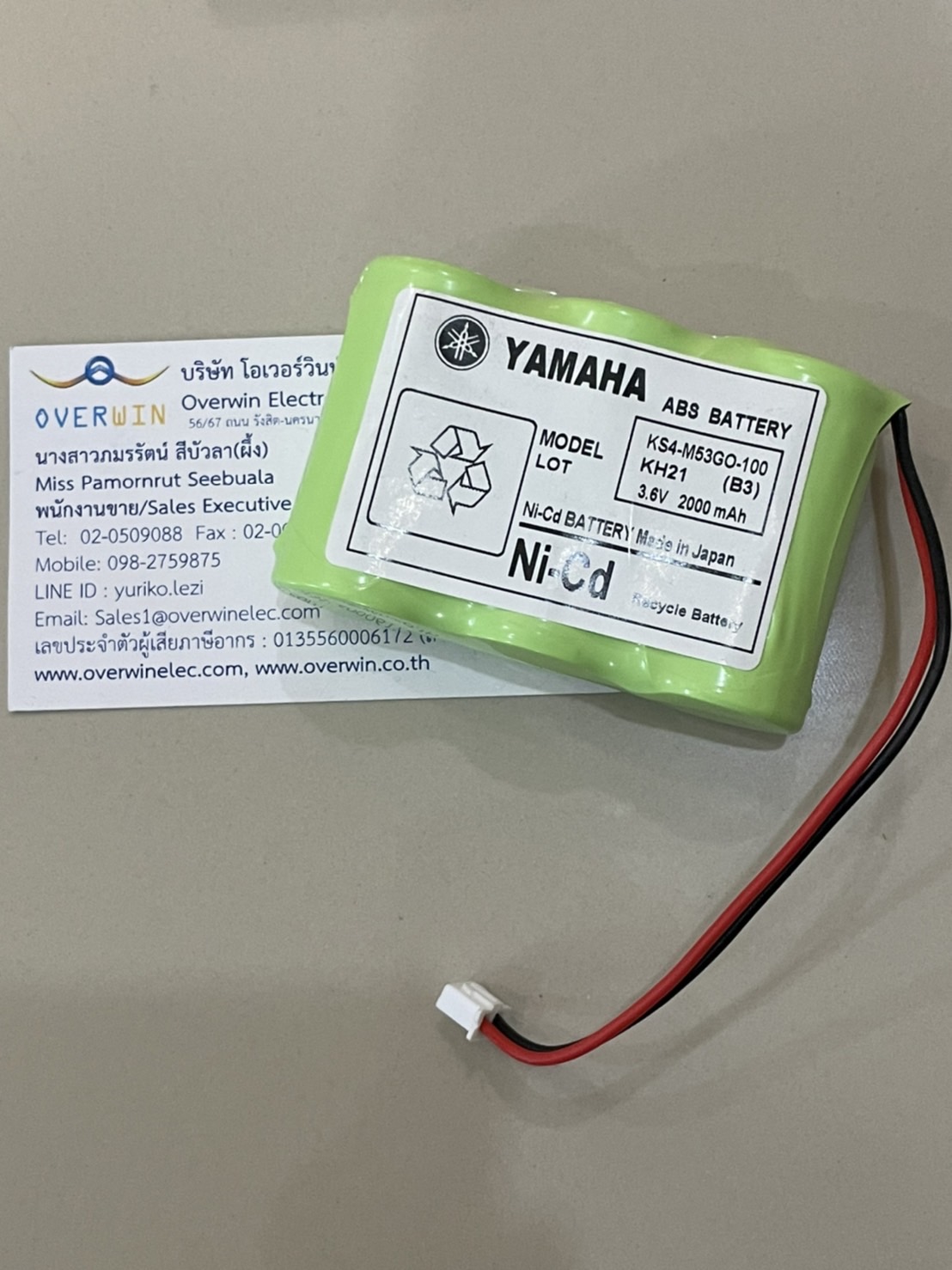 KS4-M53GO-100 2000Mah 3.6V KS4-M53G0-100