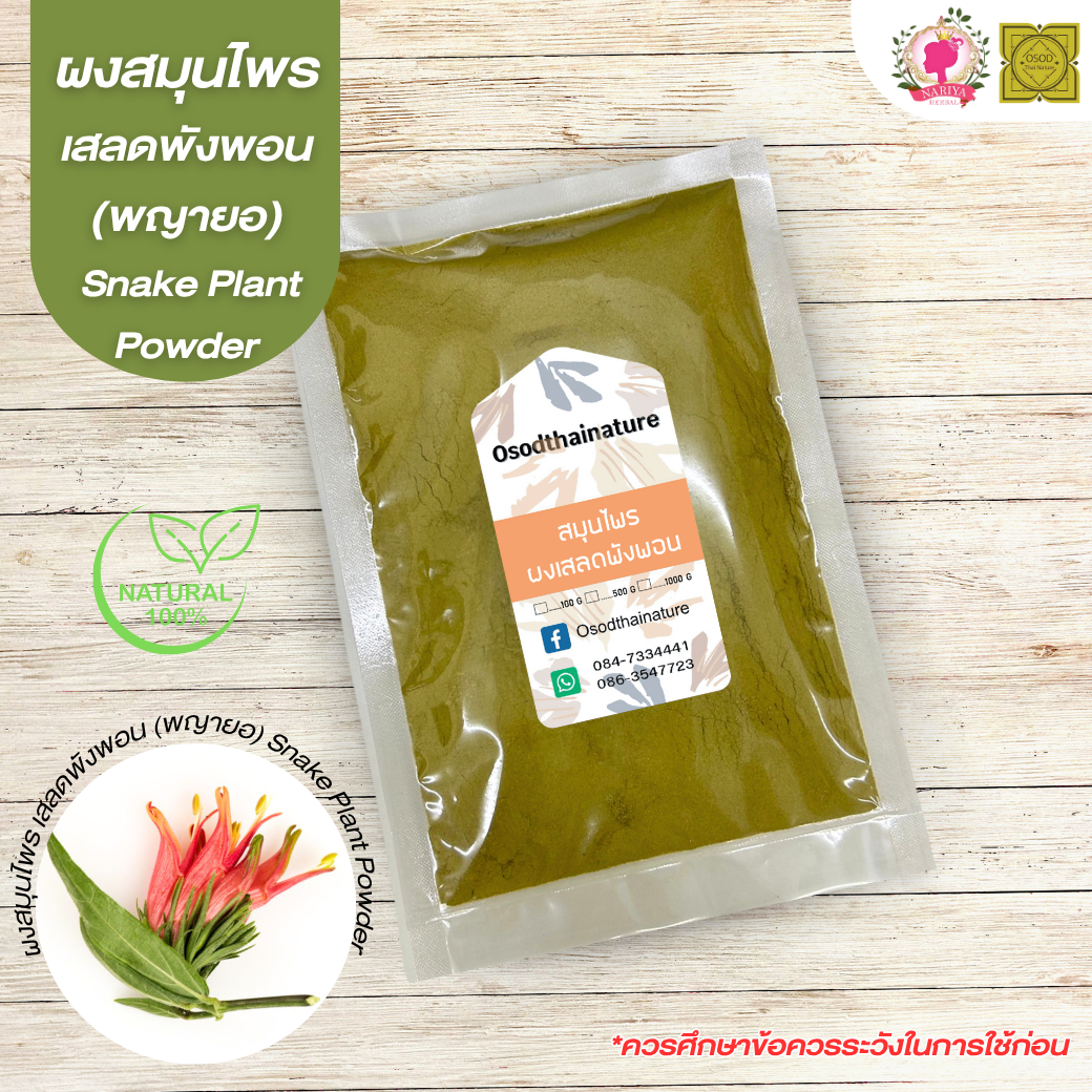 ผงเสลดพังพอน (พญายอ) (Snake Plant Powder) ขนาด 500 1000 กรัม เสลดพังพอน (ตัวเมีย) บดละเอียด สมุนไพร แท้ 100% FG-HBP-086