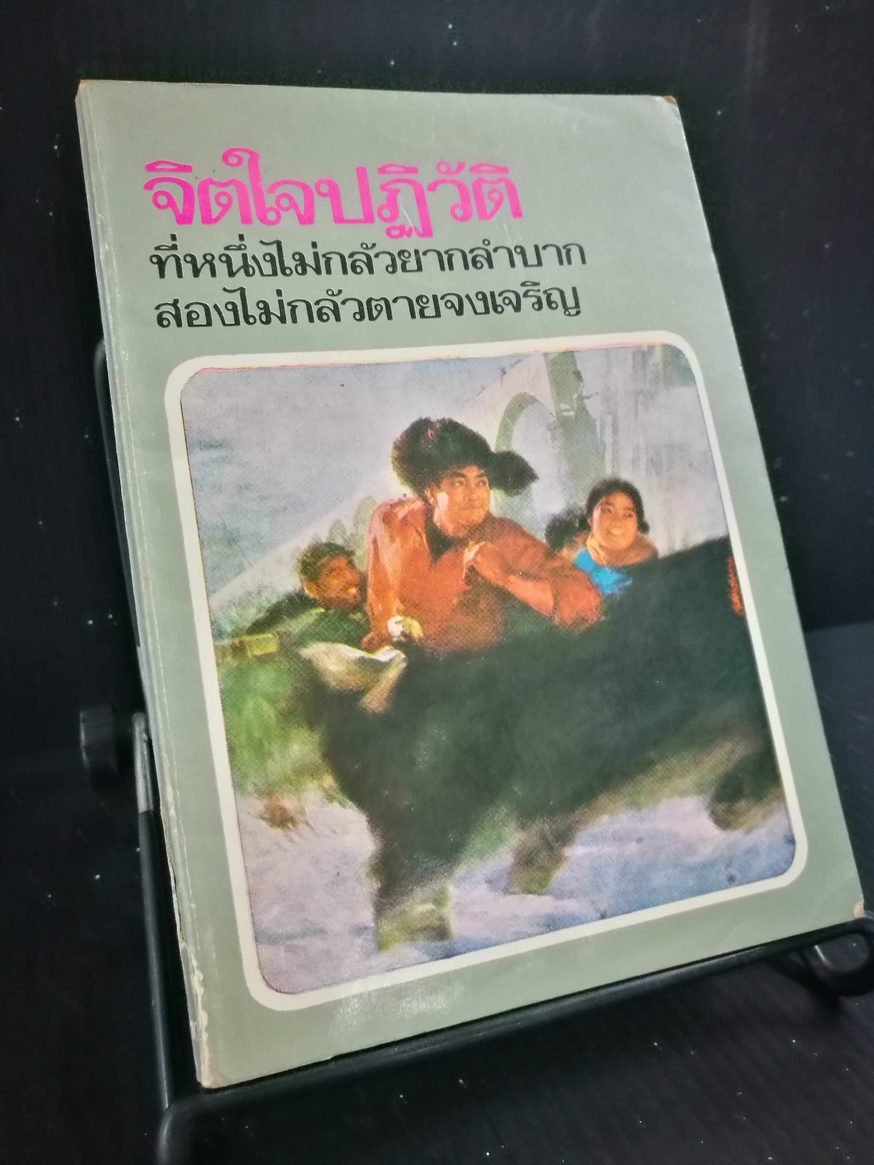 จิตใจปฏิวัติ - หนังสือต้องห้าม