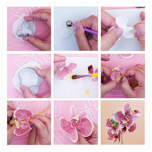 แม่พิมพ์ตัดดอกไม้น้ำตาลสแตนเลสเค้ก DIY เครื่องมือ Phalaenopsis แม่พิมพ์ดอกไม้น้ำตาล 3 ชิ้นสำหรับงานประดิษฐ์ดอกไม้จากดินไทย