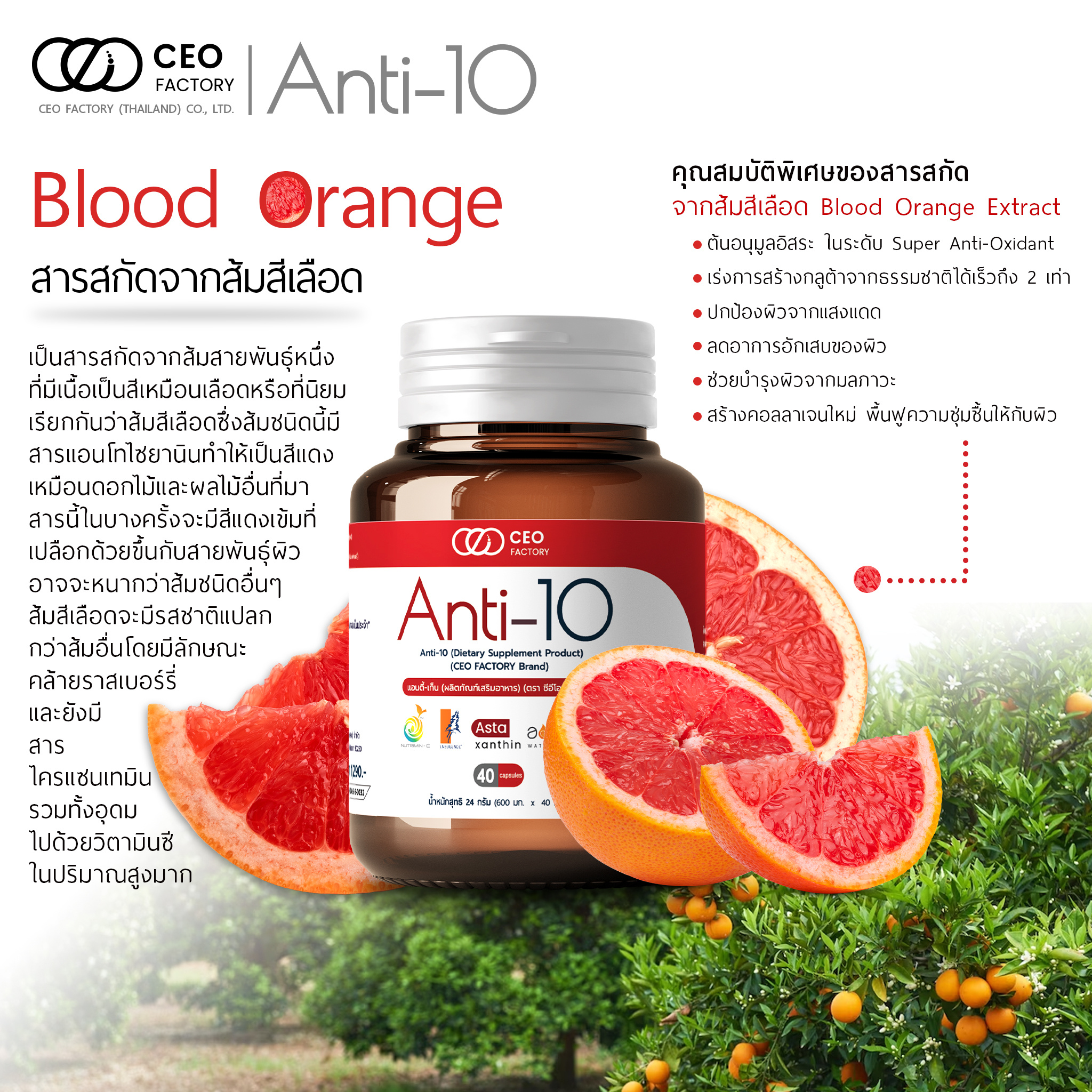 Anti-10 Dietary Supplement Product 40 Capsules