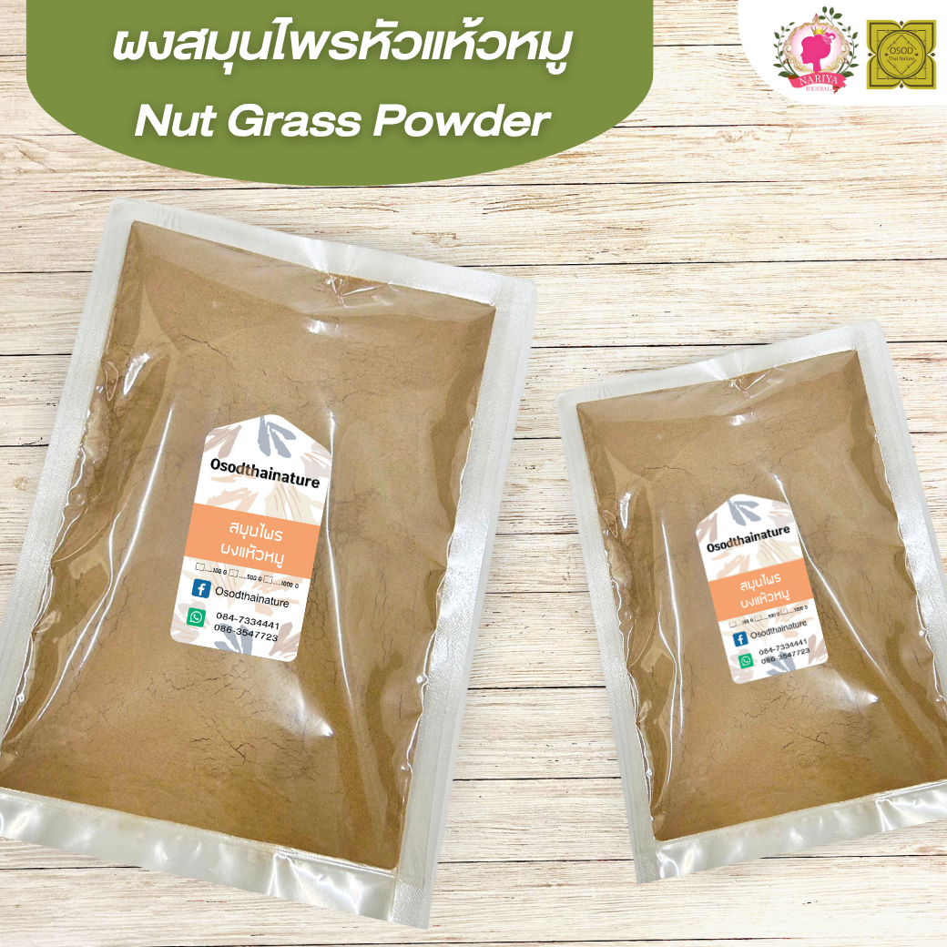 ผงแห้วหมู (Nut Grass Powder) ขนาด 500 1000 กรัม ผงหัวแห้วหมู บดละเอียด สมุนไพร แท้ 100 % FG-HBP-100