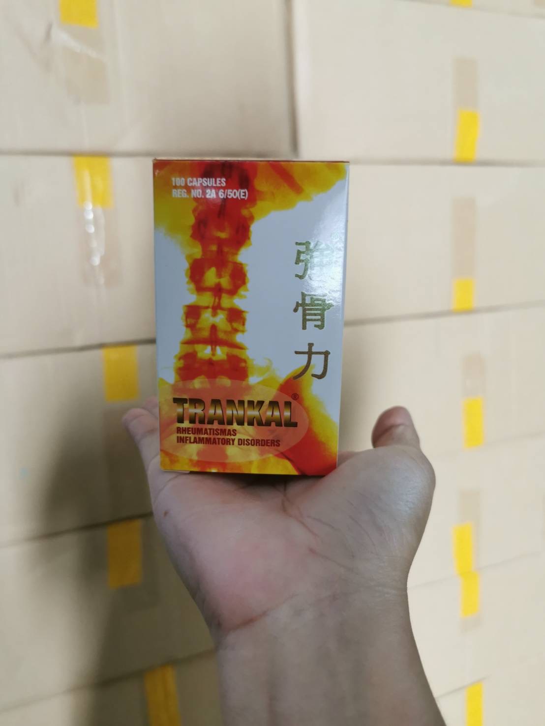 Trankal 强骨力 ฉางกู่ลี่