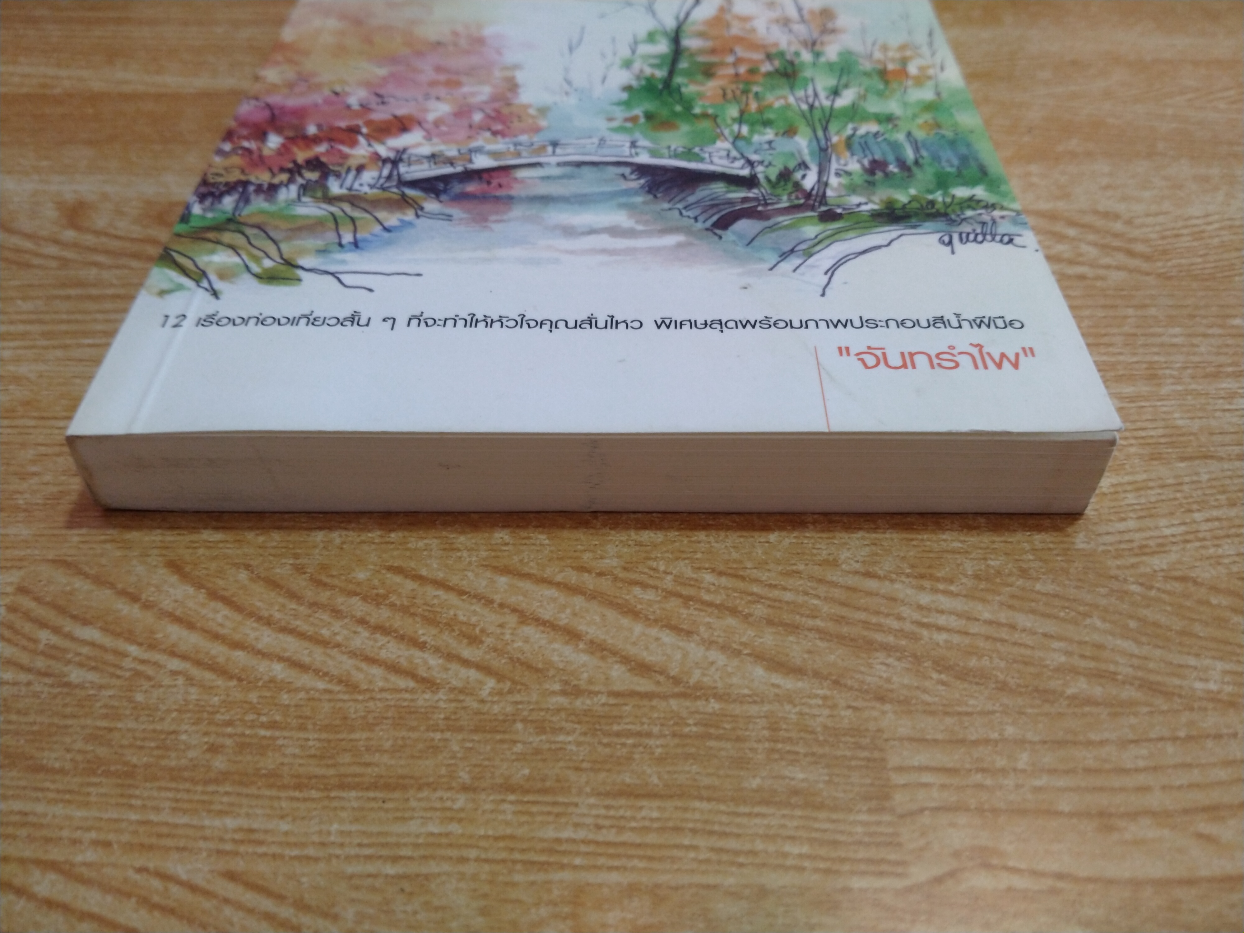 ตามหัวใจไปเก็บฝัน...ที่ริมทาง