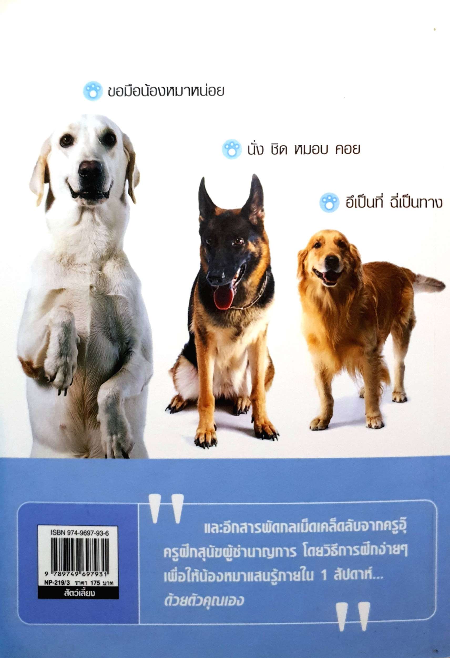 ง่ายแค่พริบตา ฝึกหมาให้แสนรู้ โดย ครูอุ๊