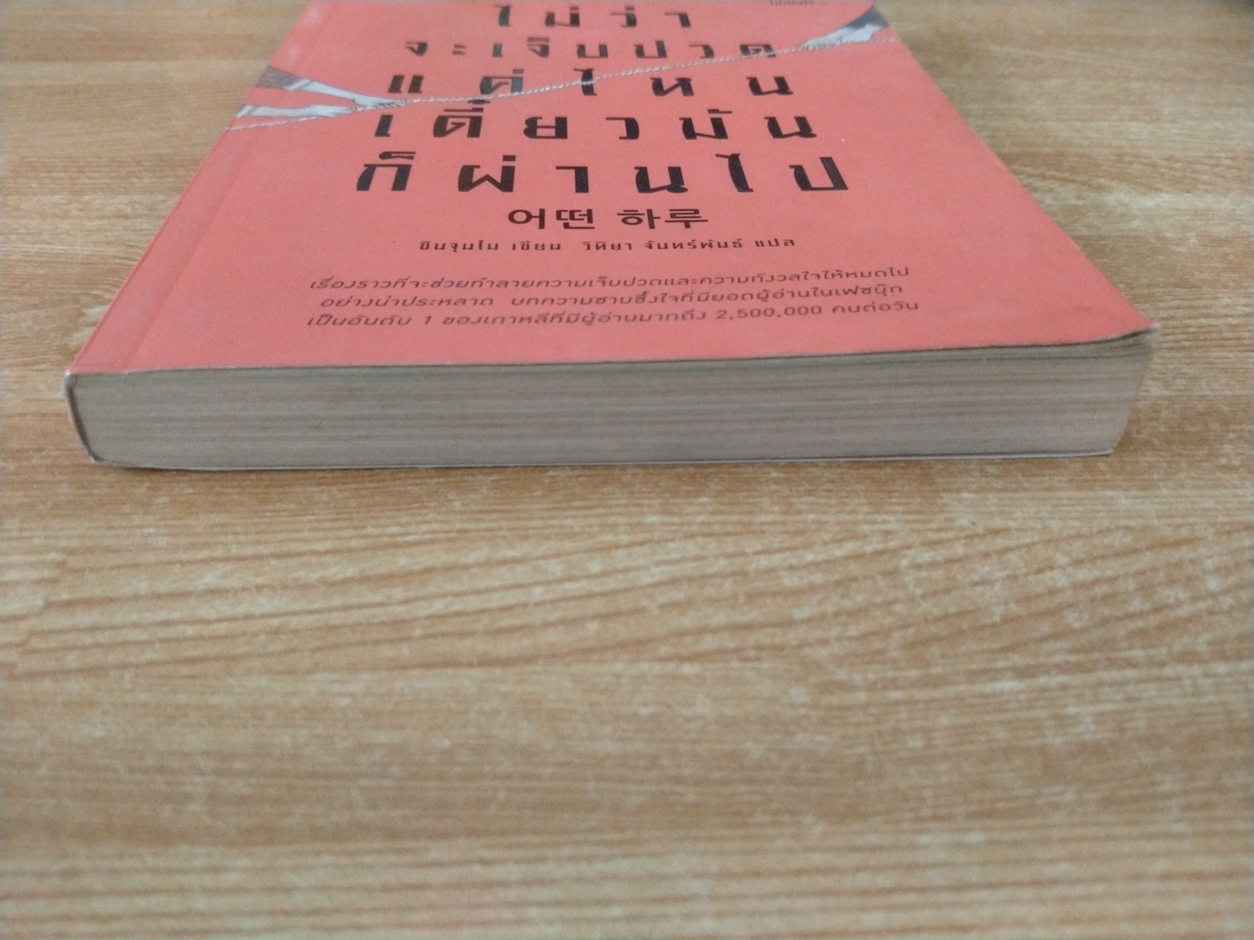 ไม่ว่าจะเจ็บปวดแค่ไหน เดี๋ยวมันก็ผ่านไป