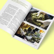 นิตยสารสารคดี ฉบับที่ 480 มีนาคม 2568 วัฒนธรรมเส้น