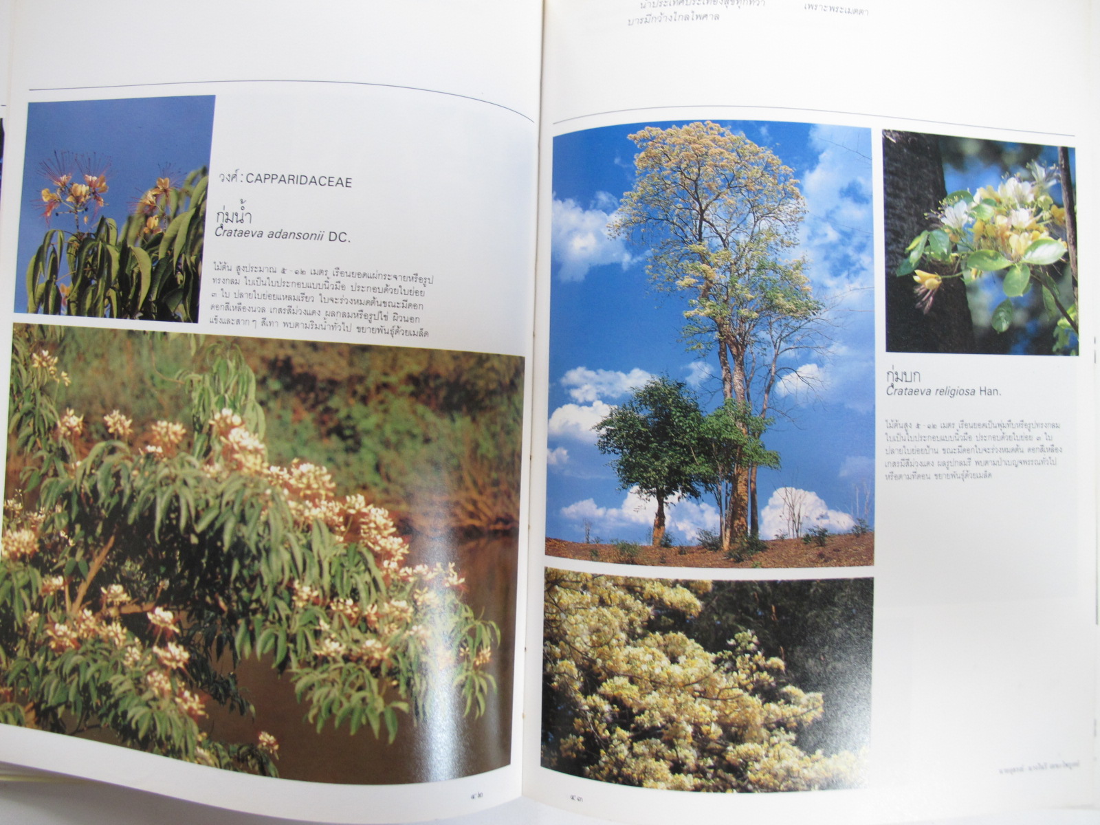 มูลนิธิสวนหลวง ร.9 ร่วมกับกรุงเทพมหานครและประชาชนสร้างสวนสาธารณะแห่งใหม่