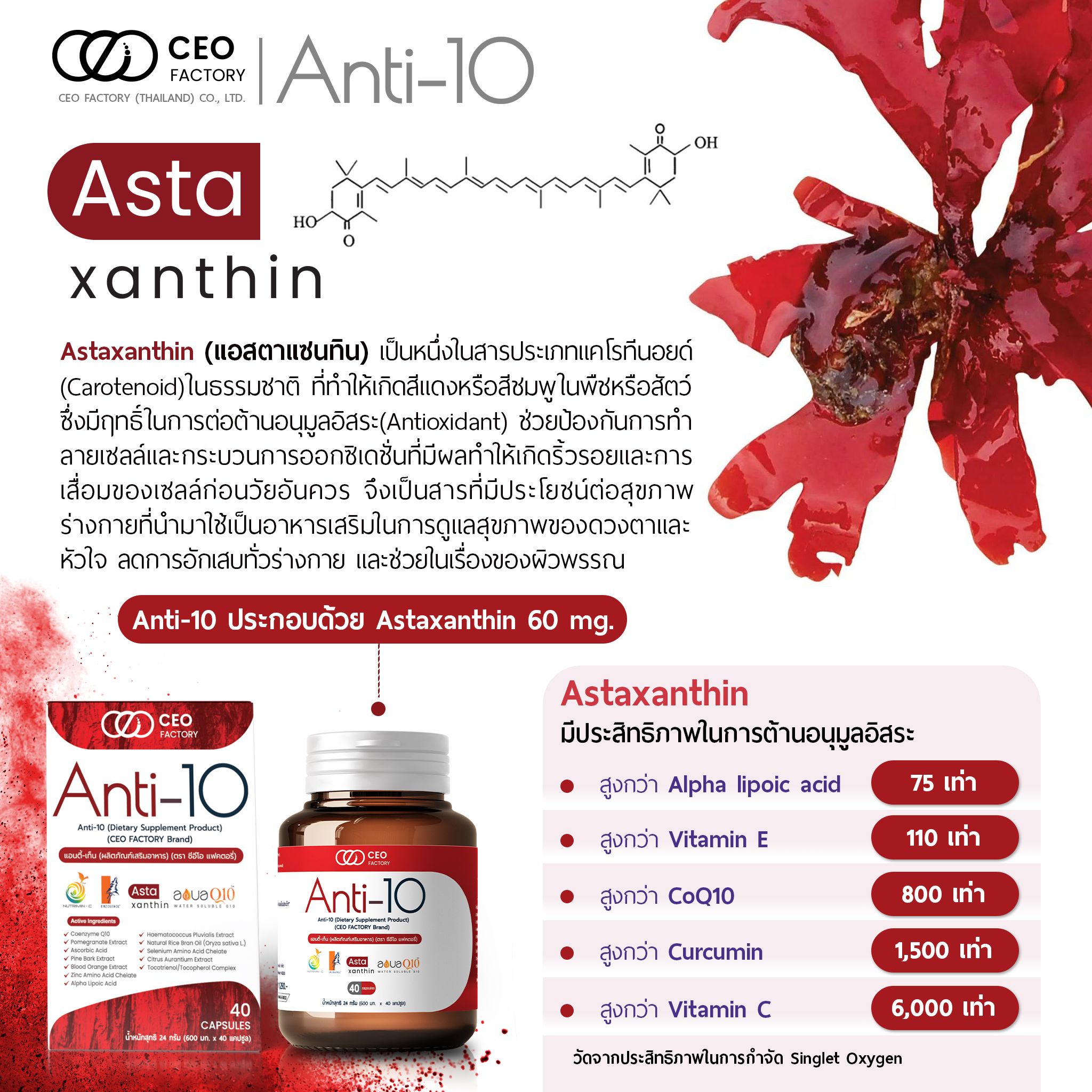Anti-10 Dietary Supplement Product 40 Capsules