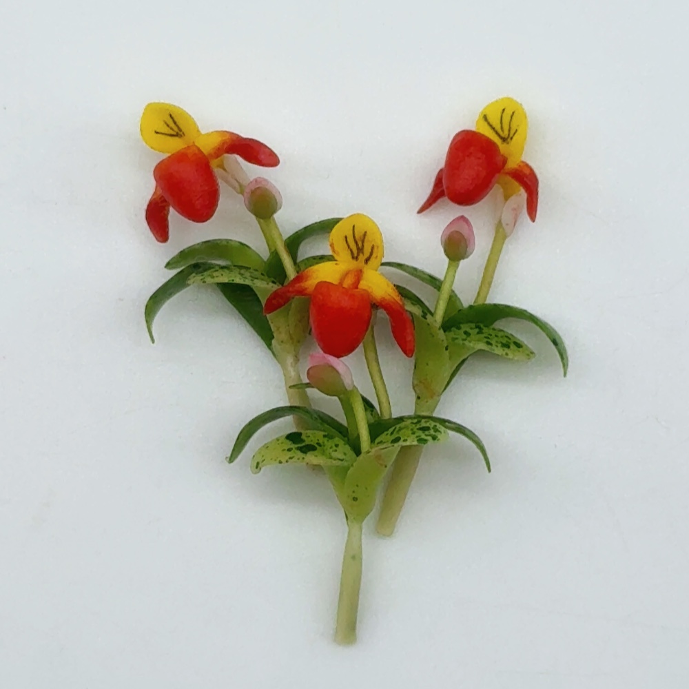 5 pieces Miniature Lady Slipper Flower