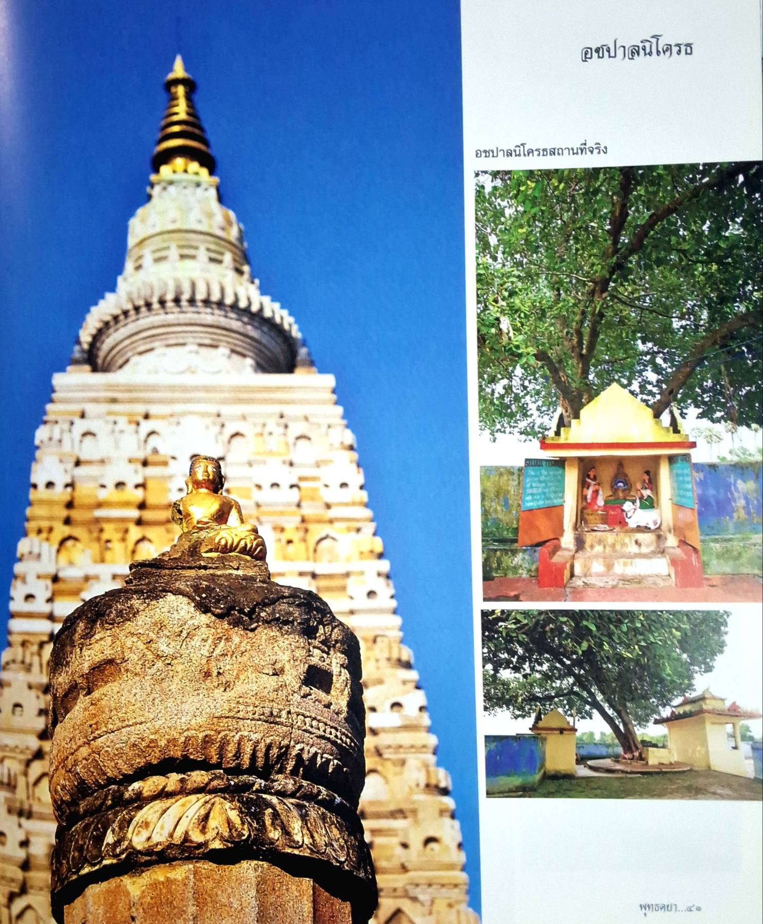 พุทธเจติยะ (ปกแข็ง)