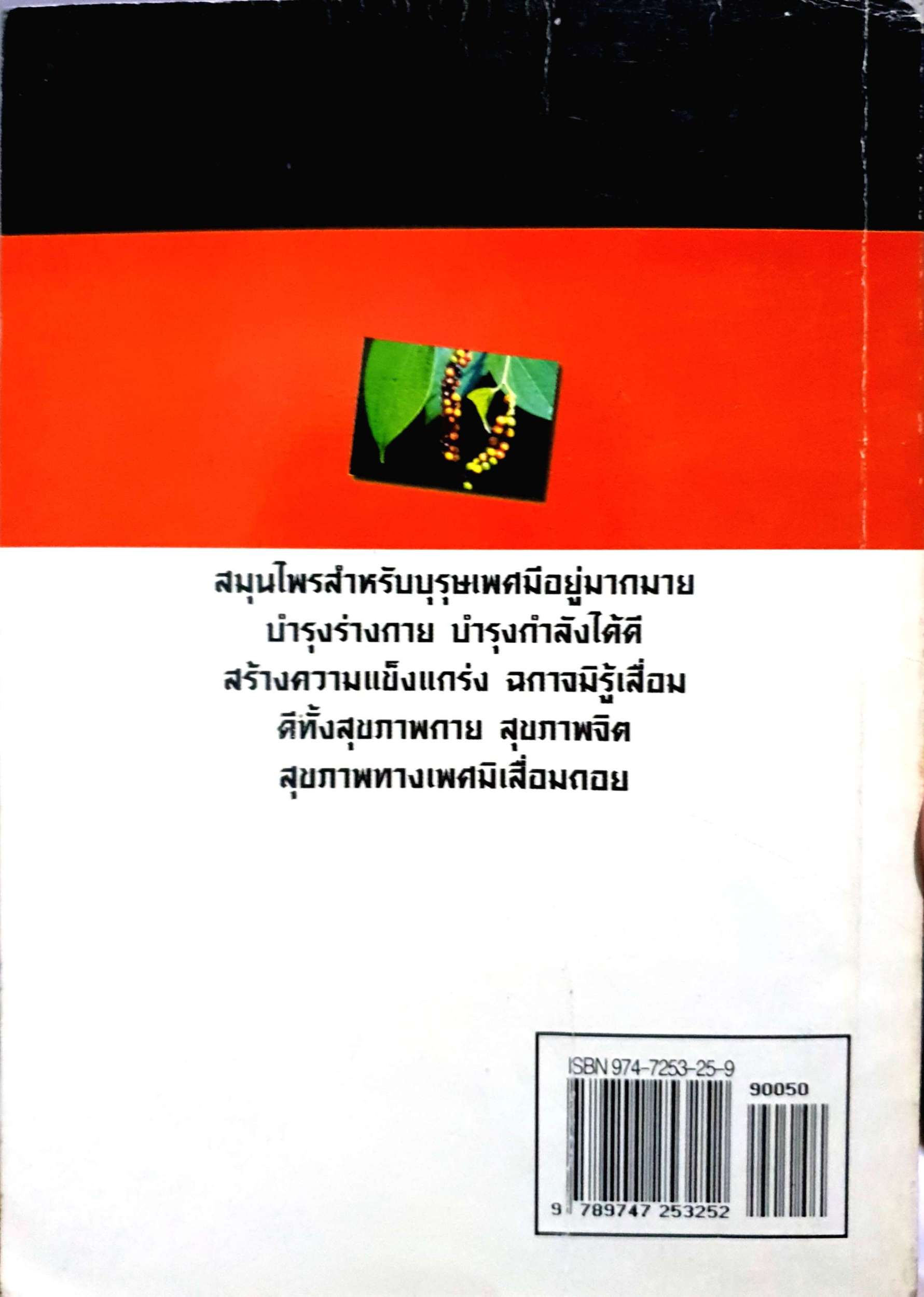 สมุนไพรบำรุงร่างกาย ชายอกสามศอก ภาณุทรรคน์