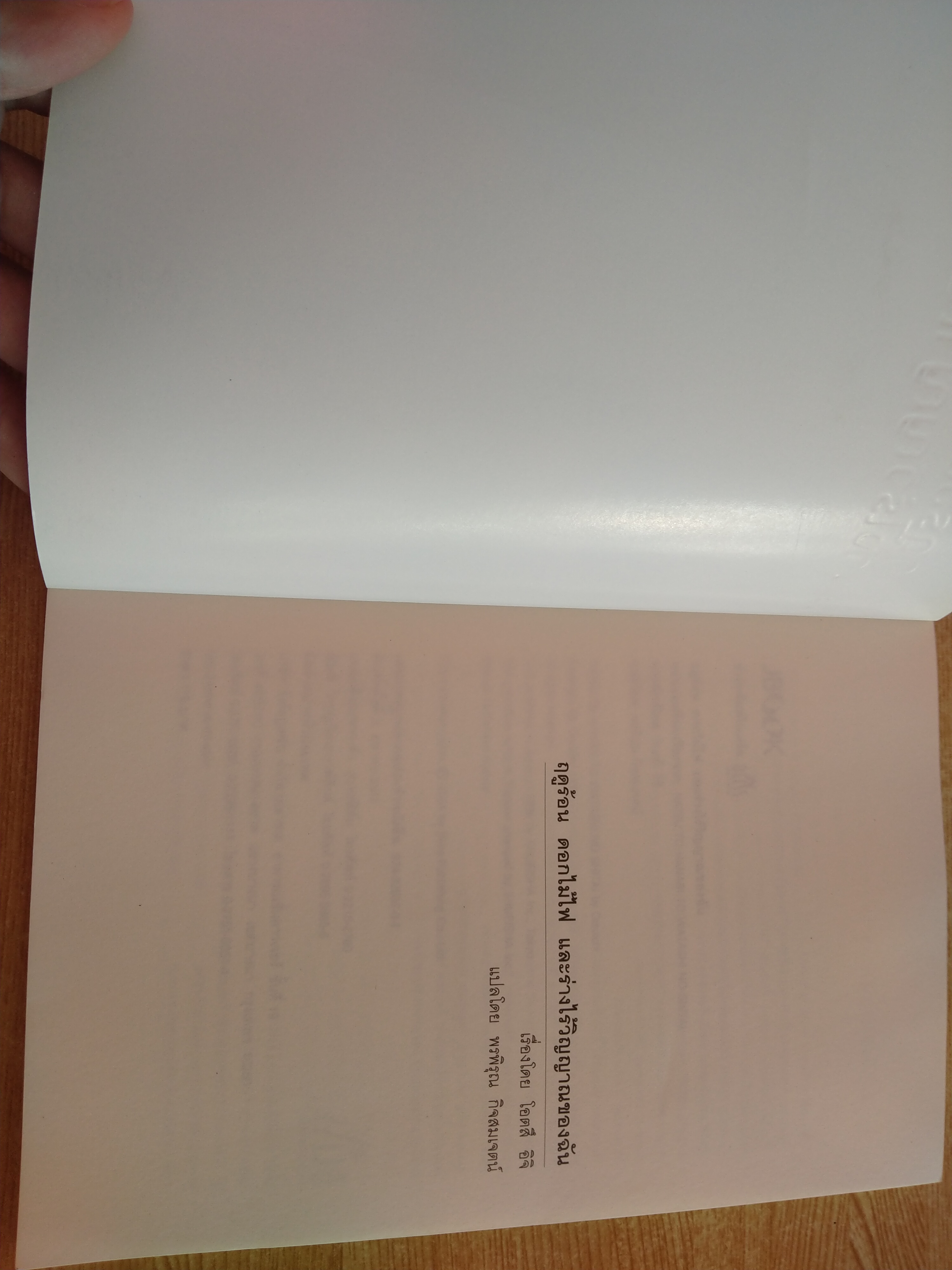 ฤดูร้อน ดอกไม้ไฟ และร่างไร้วิญญาณของฉัน