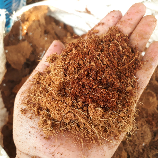 จำหน่ายขุยมะพร้าว มะพร้าวสับ รถพ่วง รถหกล้อ รถกระบะ จัดส่งทั่วประเทศ