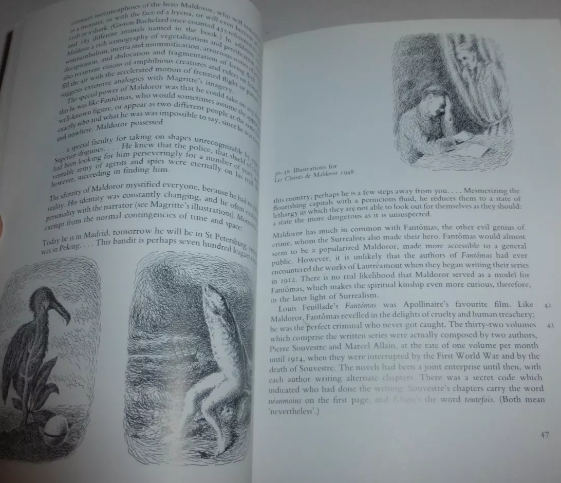 magritte suzi gablik