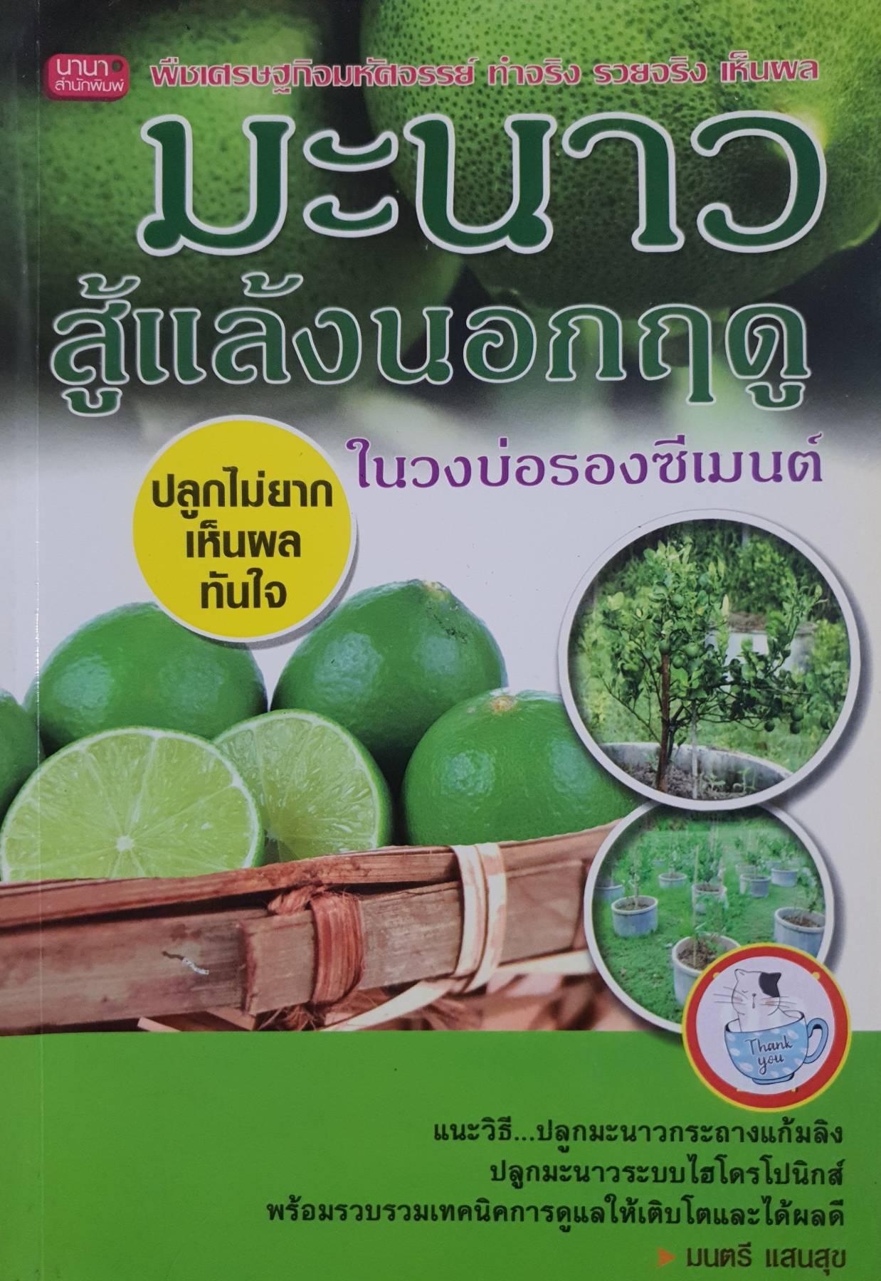 มะนาวสู้แล้งนอกฤดู