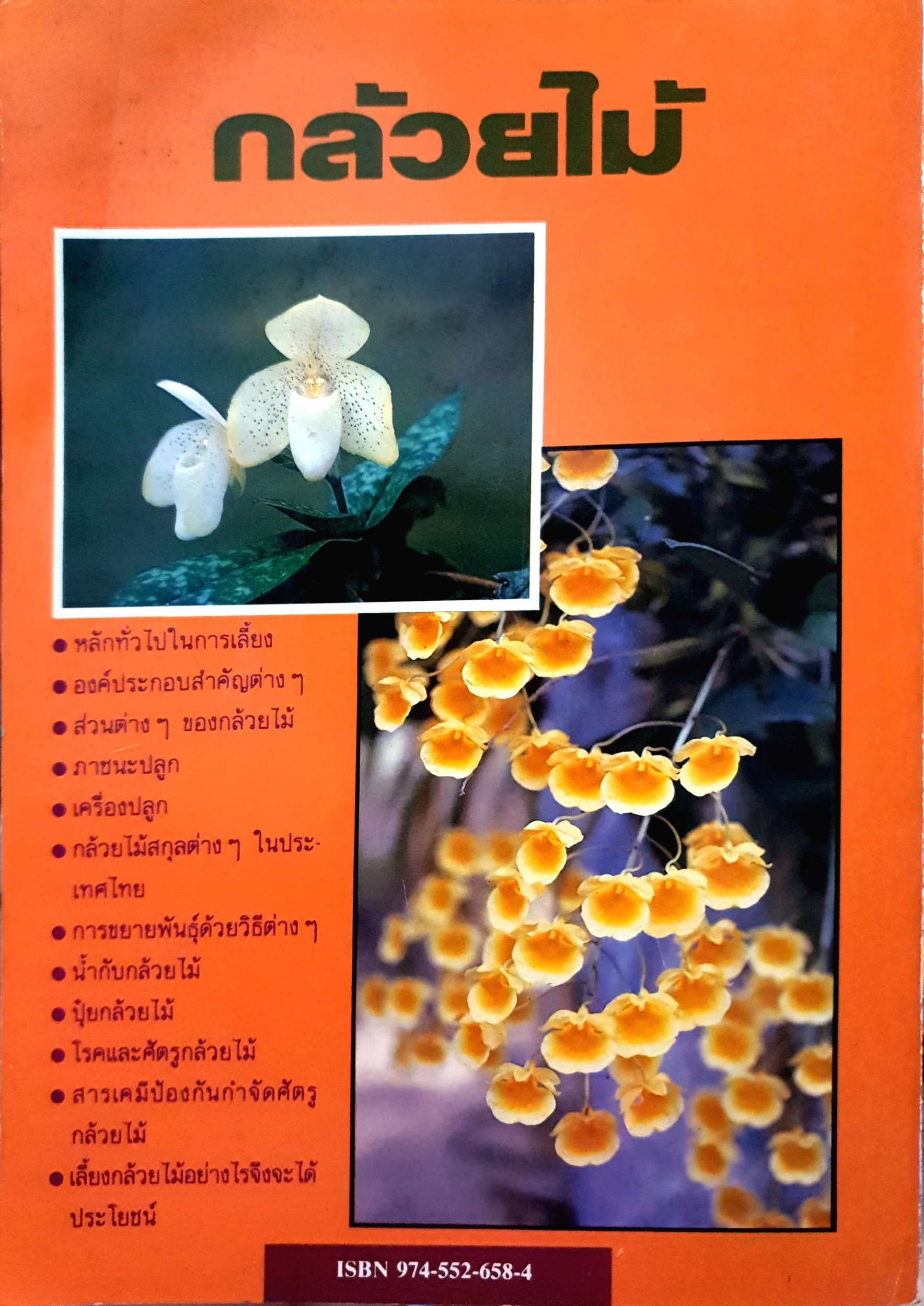 กล้วยไม้ ศาสตราจารย์ ระพี สาคริก มูลนิธิตระการศักดิ์ มณีภาค