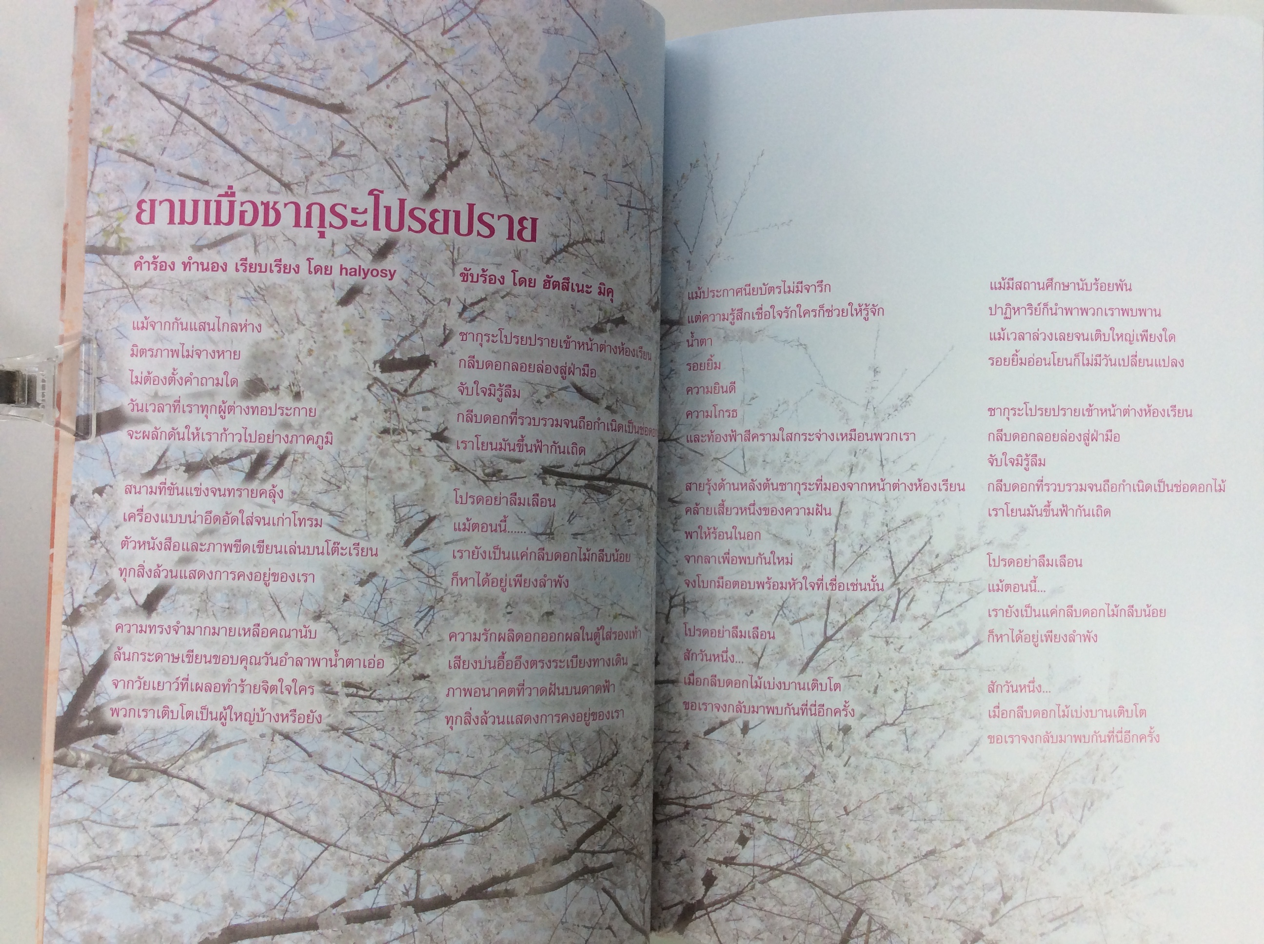 ยามเมื่อซากุระโปรยปราย นิยาย ไลท์โนเวล หนังสือ