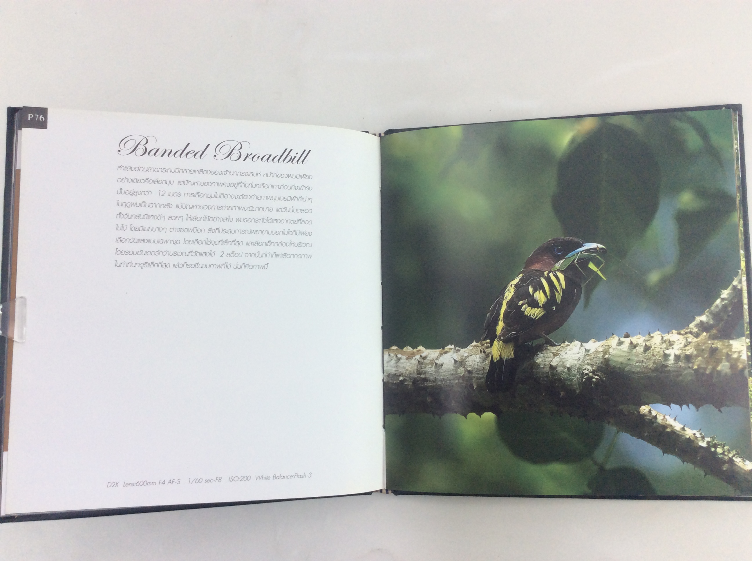 Birds ความในภาพนก เล่ม 2 ปกแข็ง หนังสือถ่ายภาพนก หนังสือ สารคดี