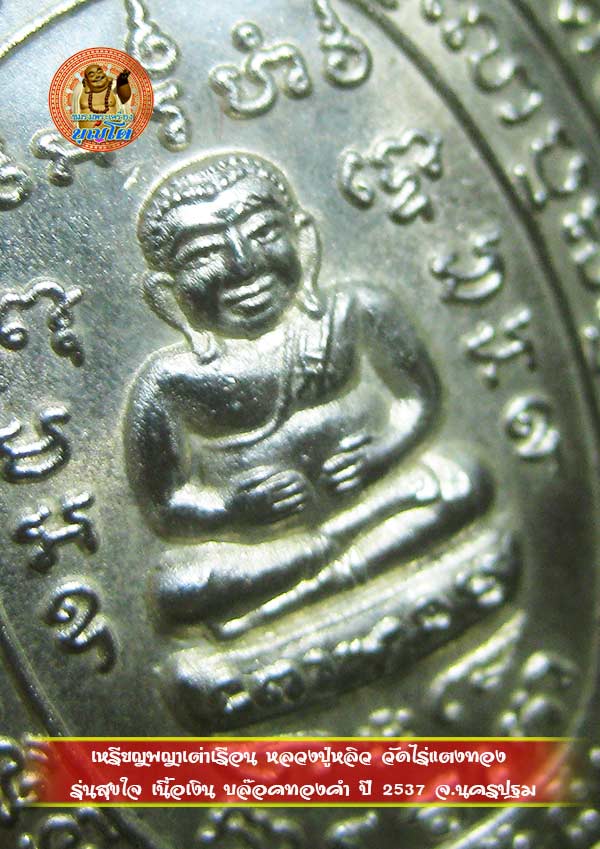 (6) เหรียญพญาเต่าเรือน หลวงปู่หลิว รุ่นสุขใจ เนื้อเงิน ปี 2537 บล๊อคทองคำ