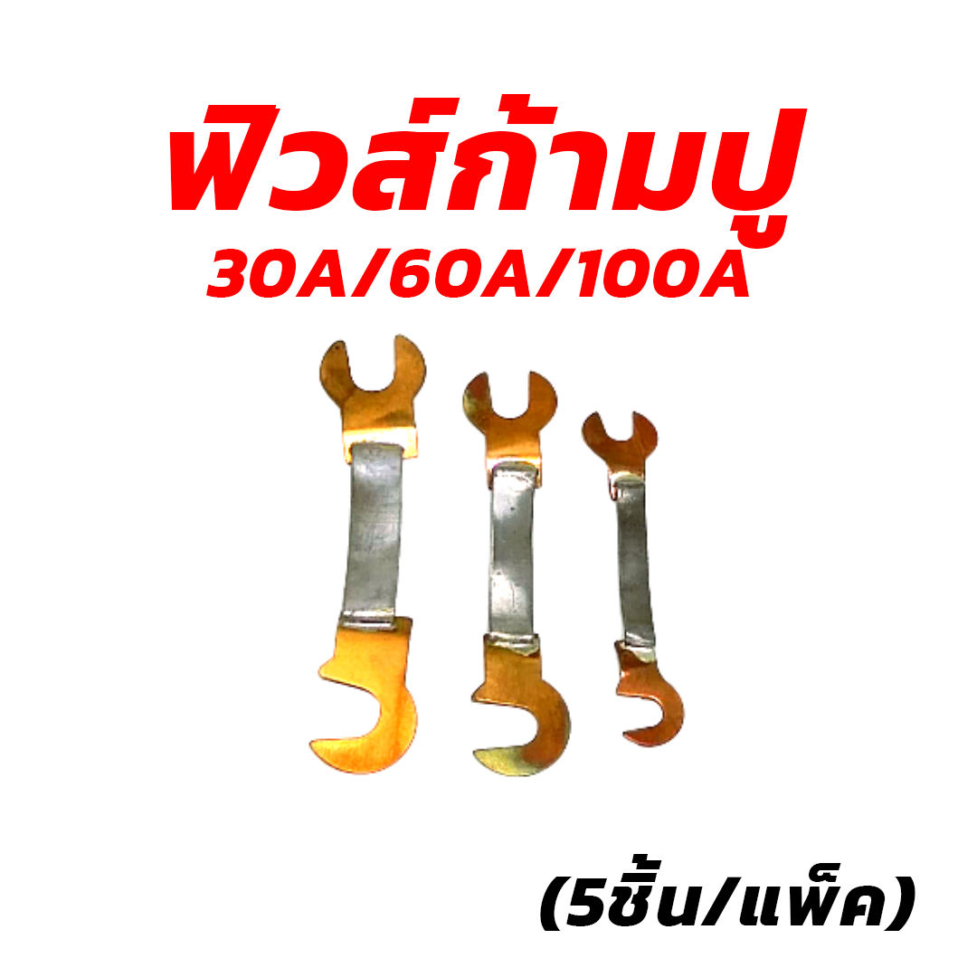 ฟิวส์ก้ามปู ขนาด 30A/60A/100A (5ชิ้น/แพ็ค) [รวมแวท ขายปลีก/ส่ง]