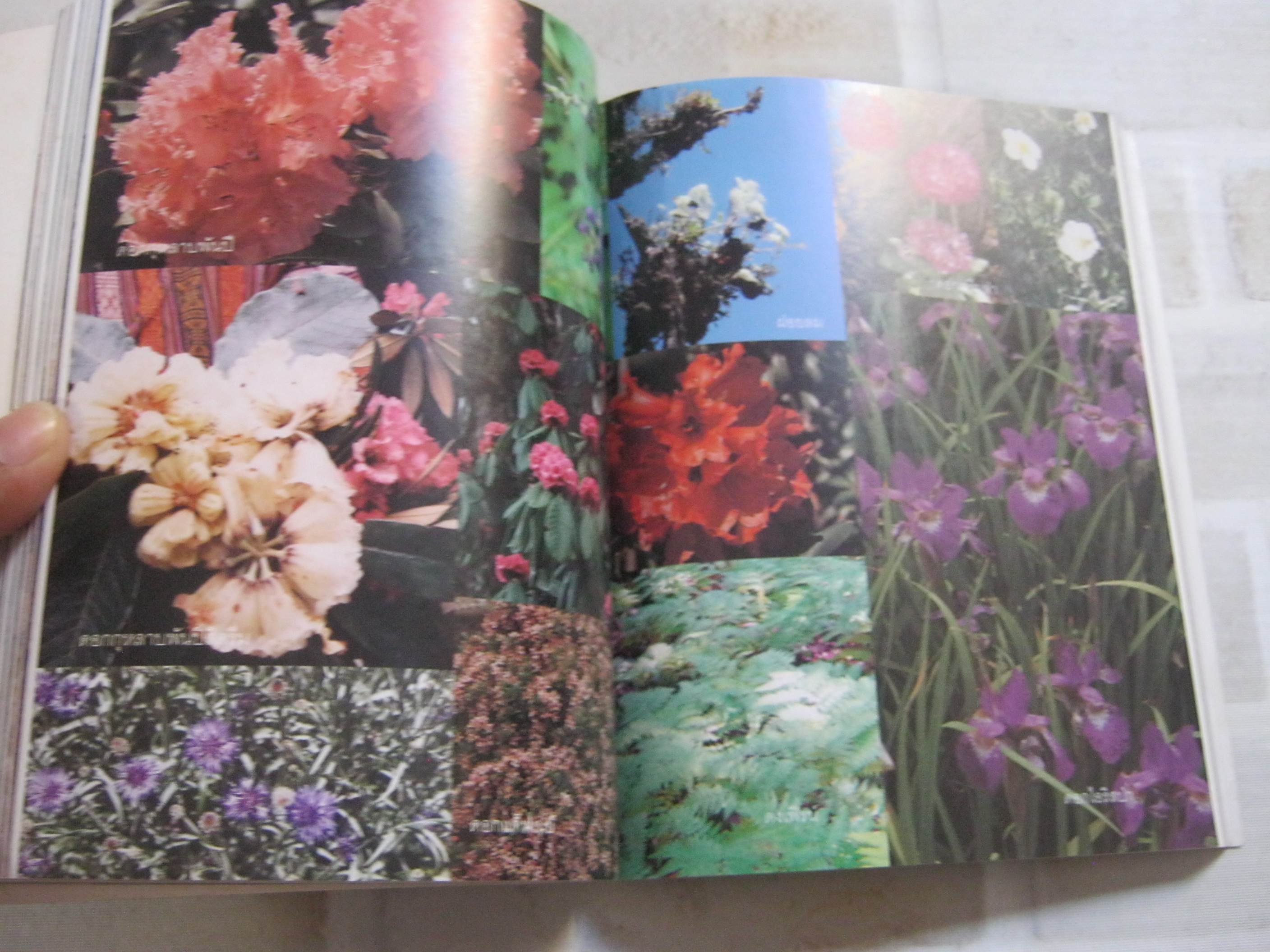 ภูฏาน ตามรอยราชวงค์วังชุก จักรพงษ์ วรรณชนะ