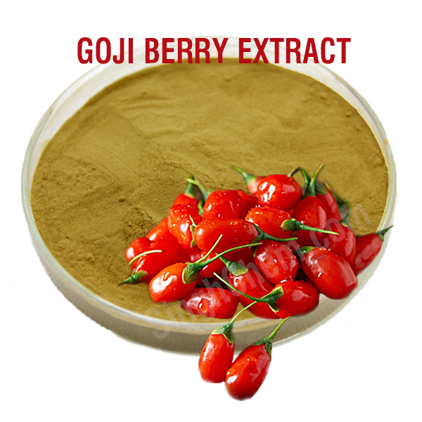 สารสกัดโกจิเบอร์รี่ (Goji Berry Extract)