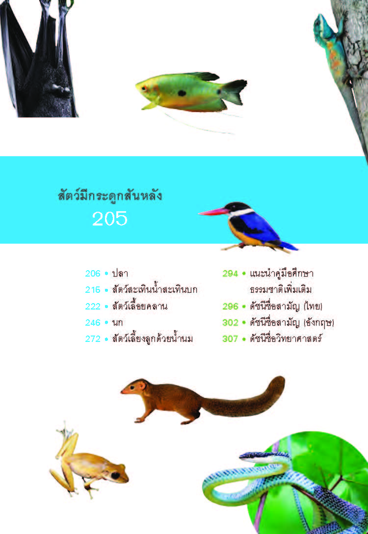 คู่มือชีวิตป่าเมืองกรุง มูลนิธิโลกสีเขียว