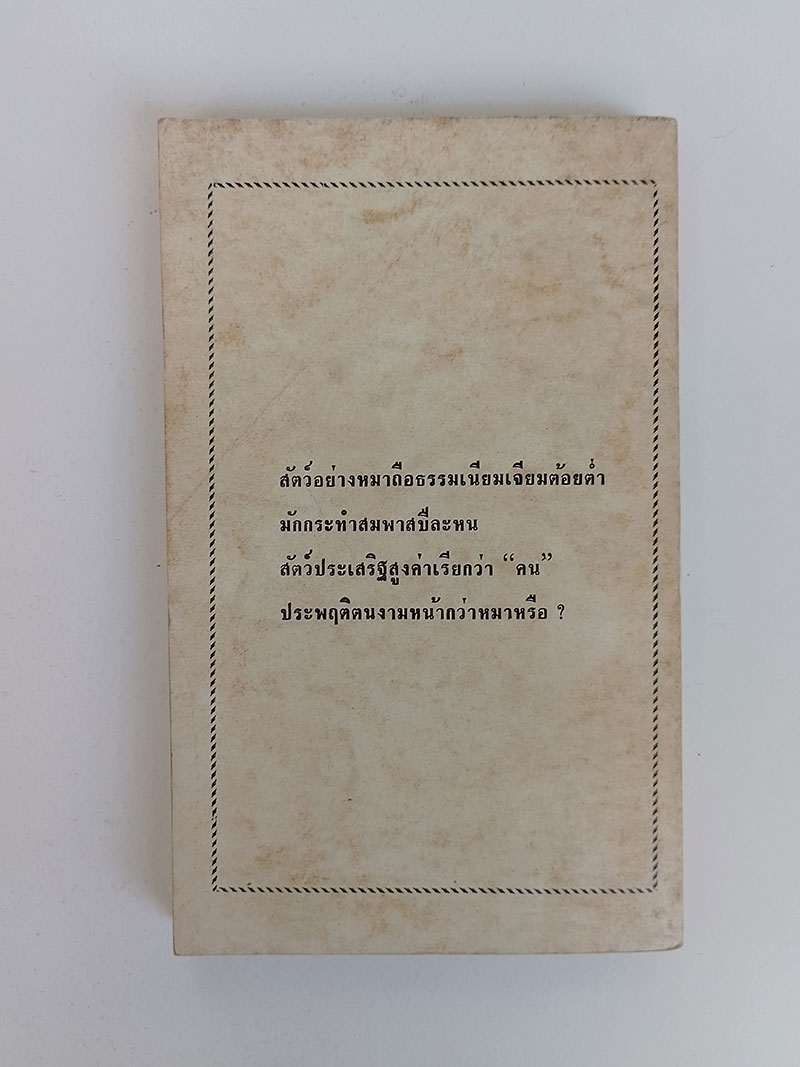 เล่ห์เสือ เหลี่ยมสิงห์ หนังสือ นิยาย วรรณกรรม