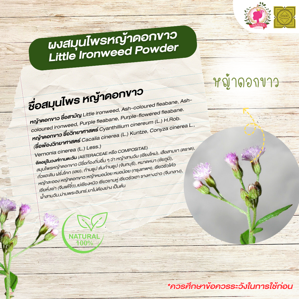ผงหญ้าดอกขาว (Little Ironweed Powder) ขนาด 500 1000 กรัม ผงหญ้าดอกขาว สมุนไพร แท้ 100% FG-HBP-101