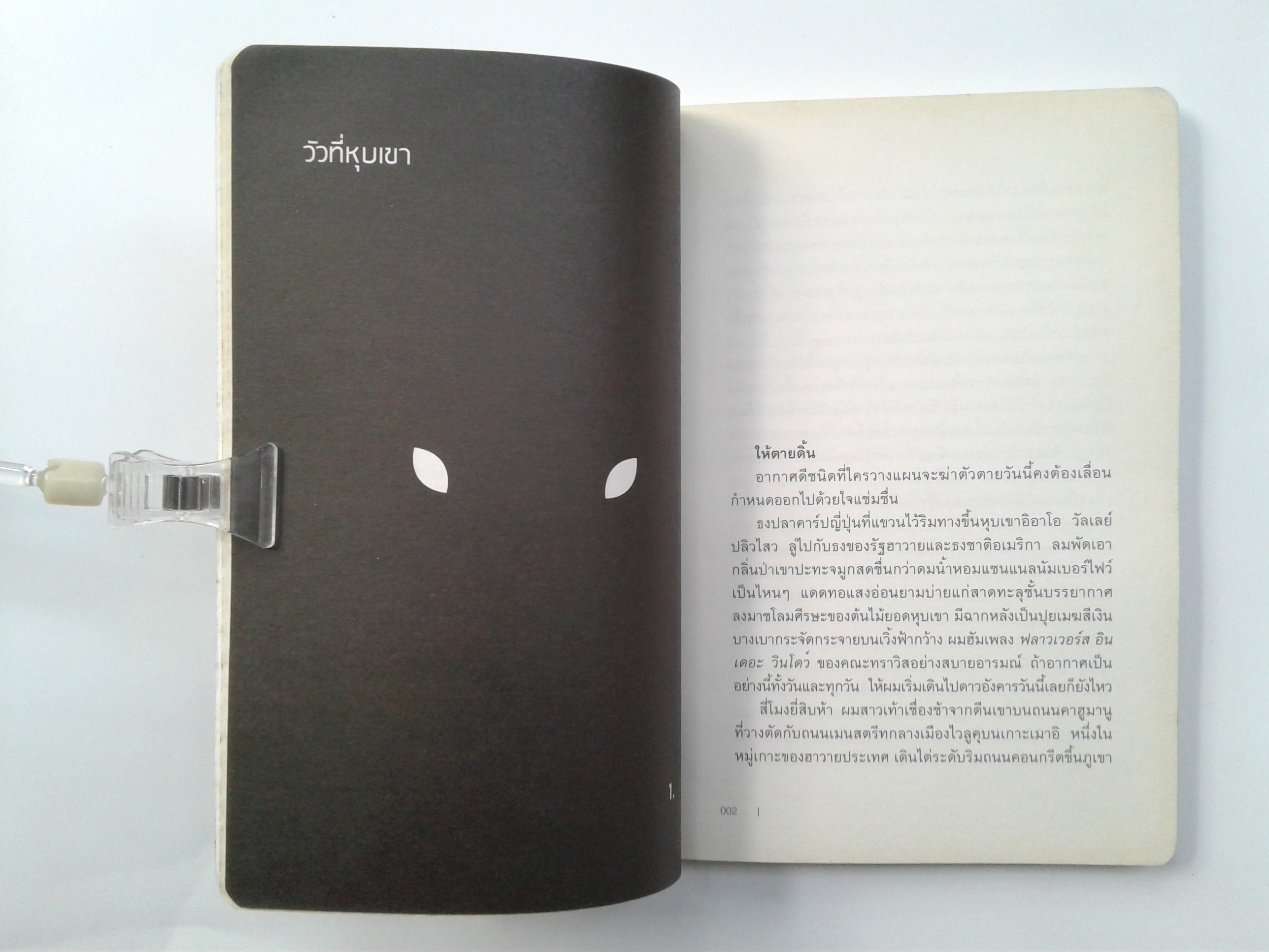 ฮาวายประเทศ เรื่องสั้น นิยาย วรรณกรรม หนังสือ