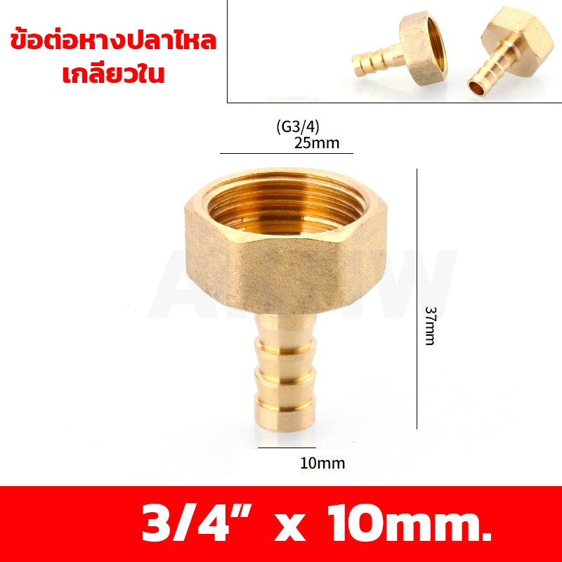ข้อต่อหางปลาไหลเกลียวใน/เกลียวนอก ทองเหลือง KingsMan ขนาด 1/2นิ้ว 3/4นิ้ว [ขายปลีก/ส่ง]