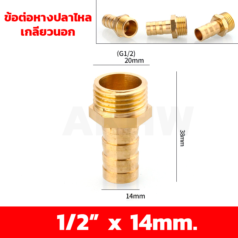 ข้อต่อหางปลาไหลเกลียวใน/เกลียวนอก ทองเหลือง KingsMan ขนาด 1/2นิ้ว 3/4นิ้ว [ขายปลีก/ส่ง]