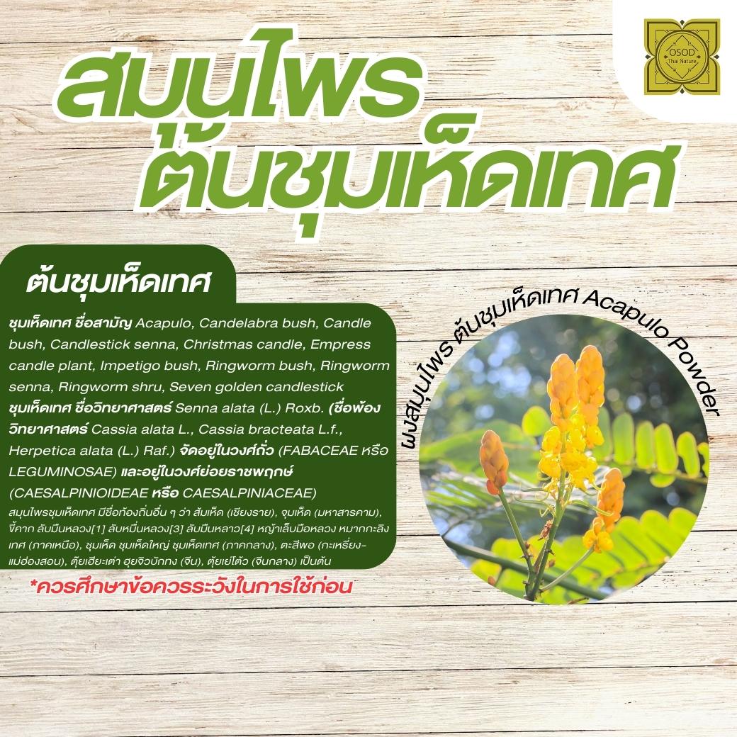 ผงต้นชุมเห็ดเทศ (Acapulo Powder) ขนาด 500 1000 กรัม ต้นชุมเห็ดเทศ บดละเอียด สมุนไพร แท้100% FG-HBP-038
