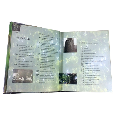 ที่ระลึกเปิดอนุสาวรีย์ ศาสตราจารย์ นายแพทย์ฝน แสงสิงแก้ว บิดาแห่งจิตเวชศาสตร์ไทย หนังสือ