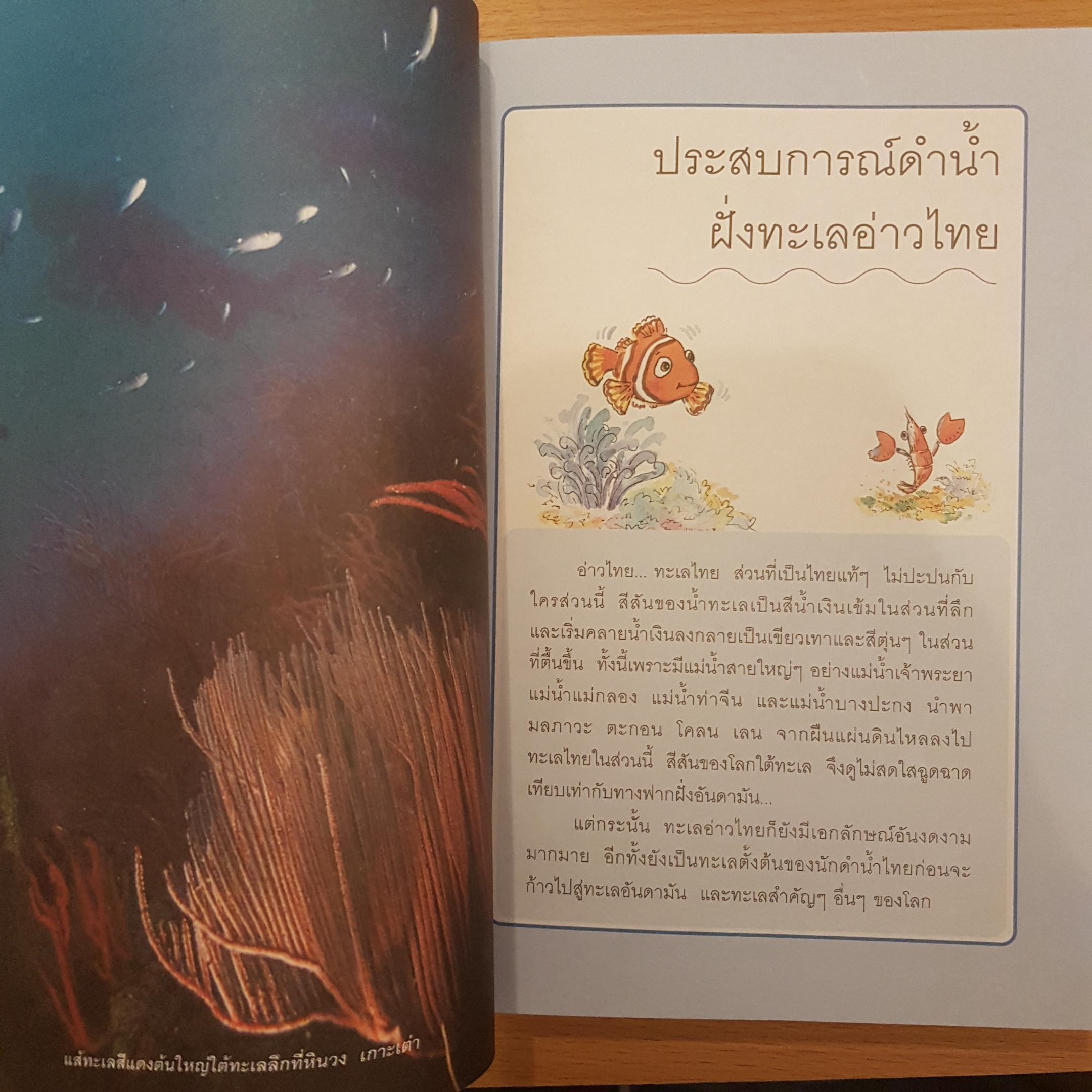 ดำน้ำสู่อัศจรรย์ แห่งทะเลลึก