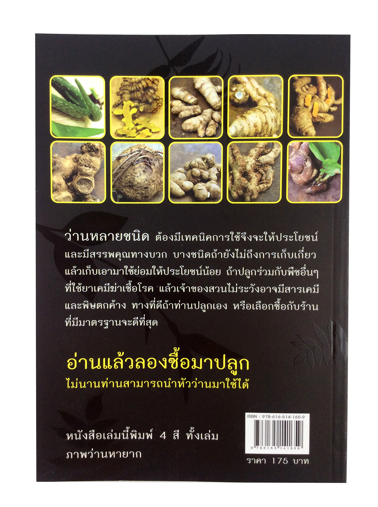 ตำนานว่านไทย สมุนไพร ตำรายา หนังสือหายาก หนังสือสะสม หนังสือ [คุ้มอักษรไทย]