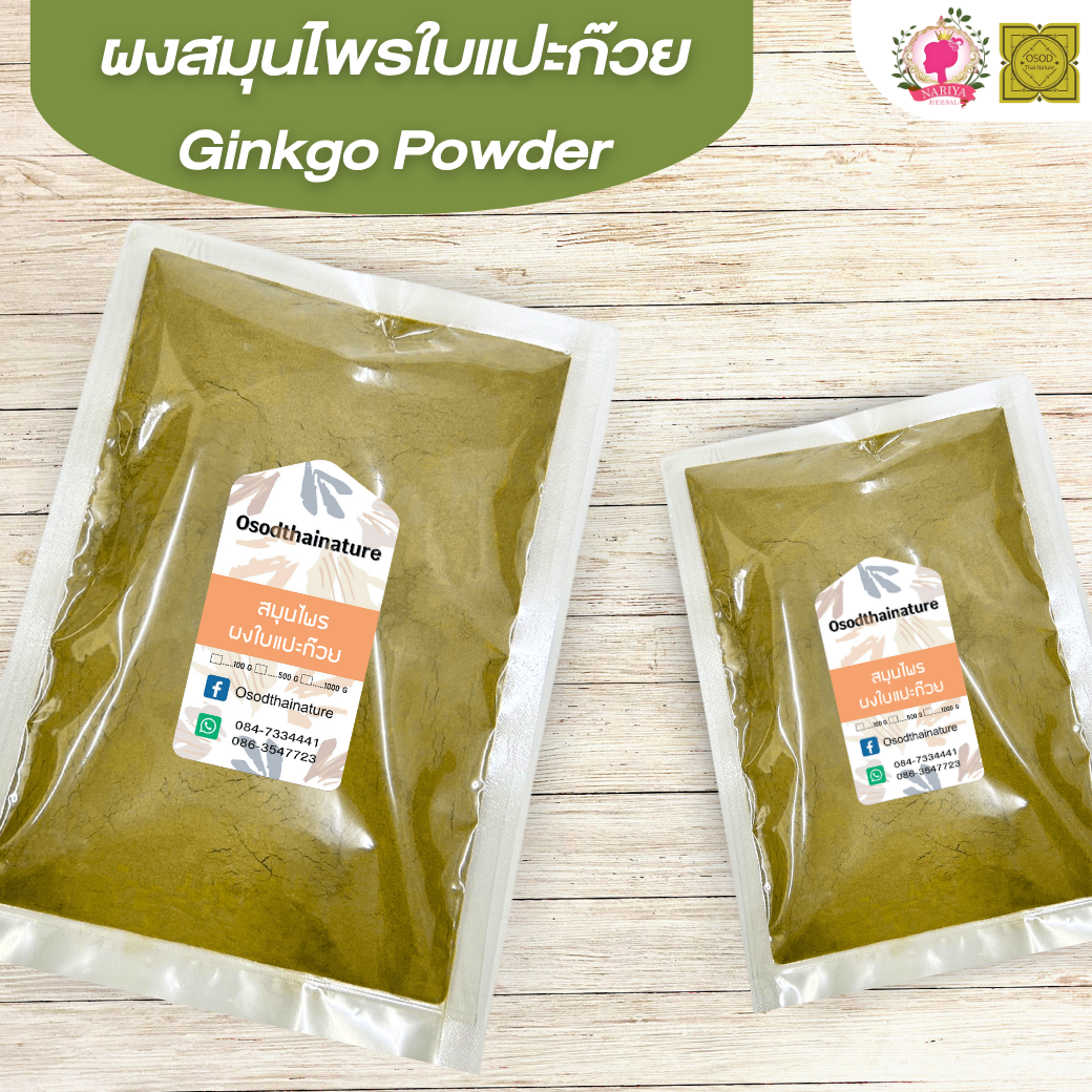 ผงใบแปะก๊วย (Ginkgo Powder) ขนาด 500 1000 กรัม ใบแปะก๊วย บดละเอียด สมุนไพร แท้100% FG-HBP-052