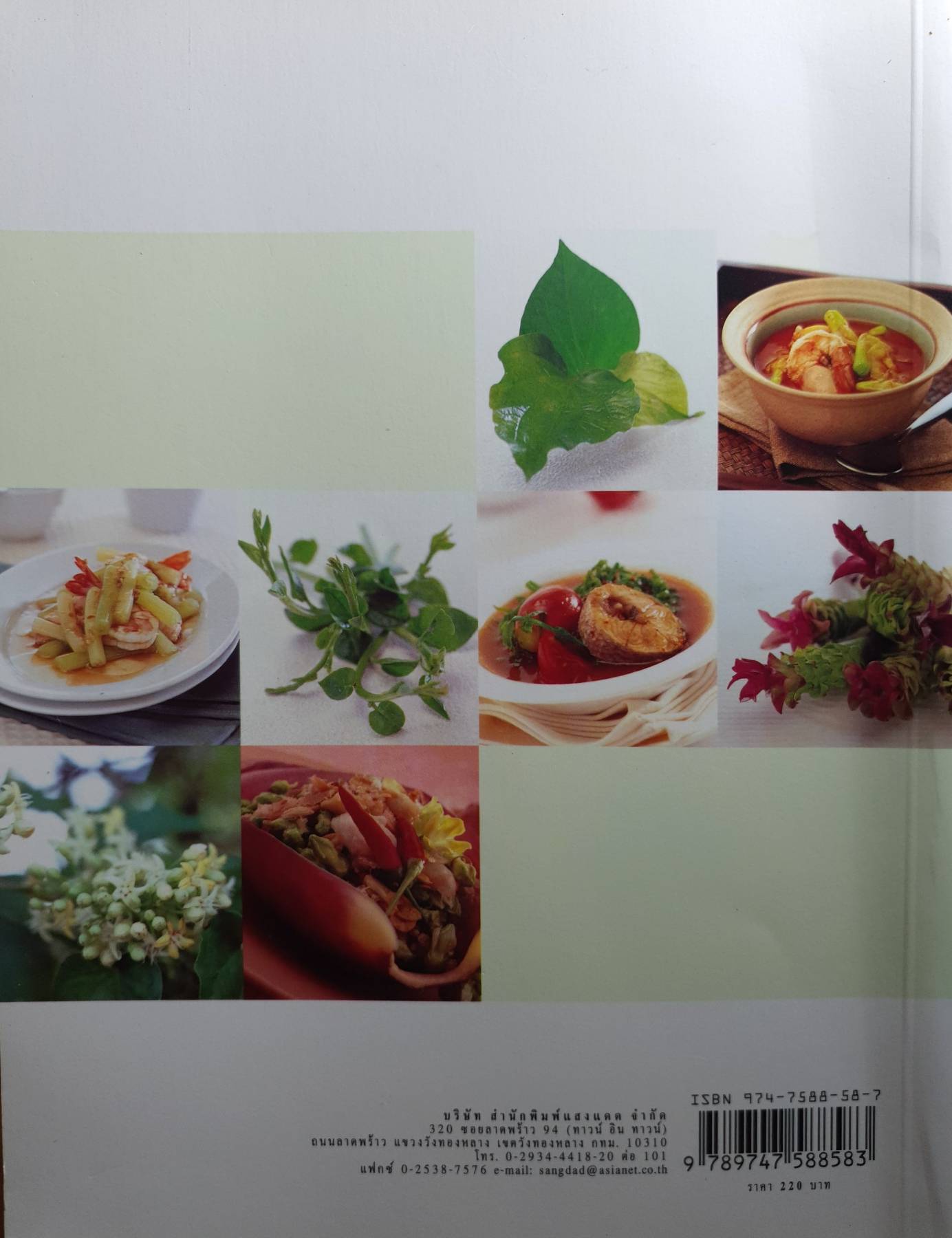 ผักพื้นบ้านอาหารสุขภาพ ผู้เขียน ทวีทอง หงษ์วิวัฒน์