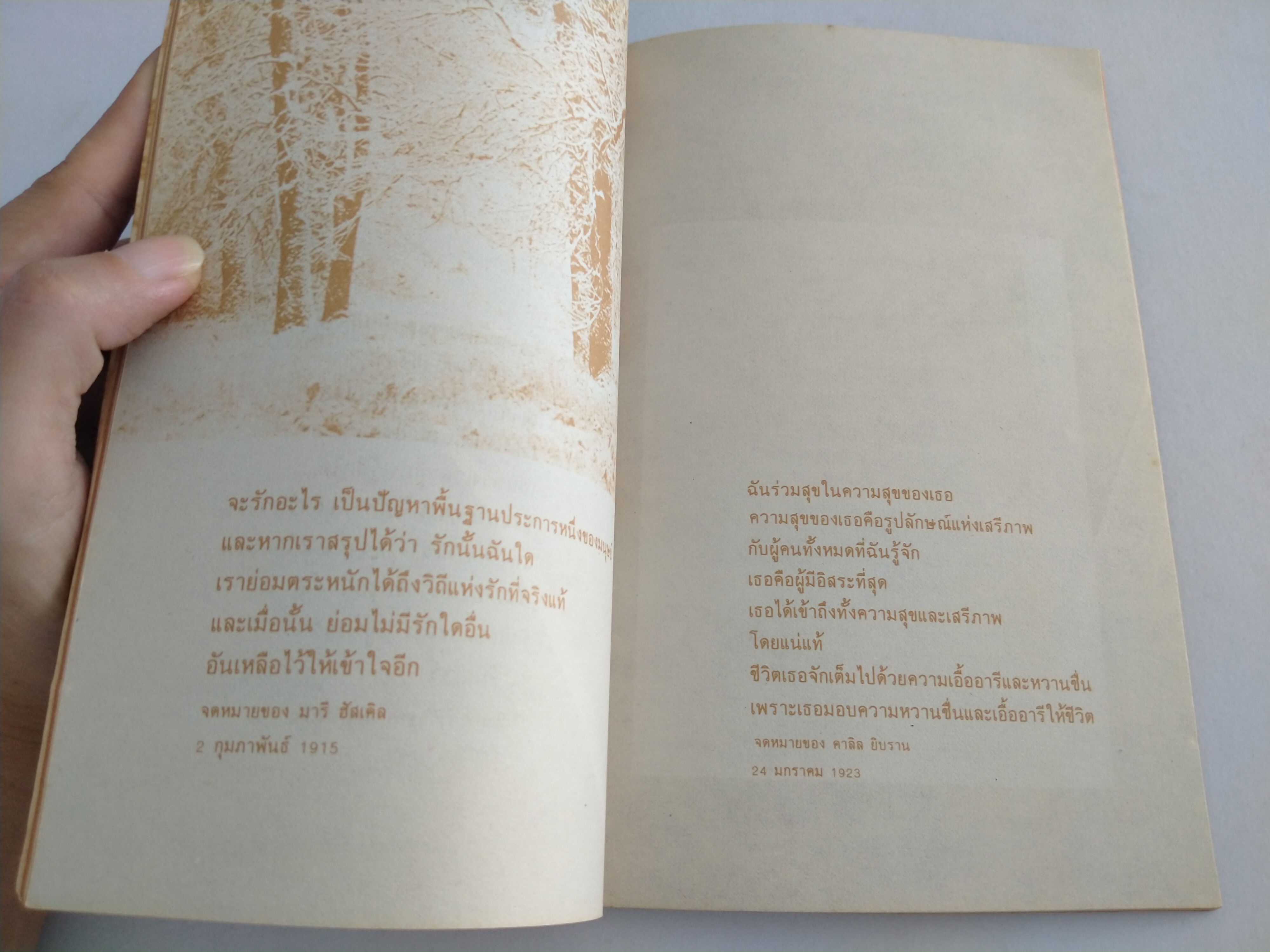 ห่วงหาอาทร