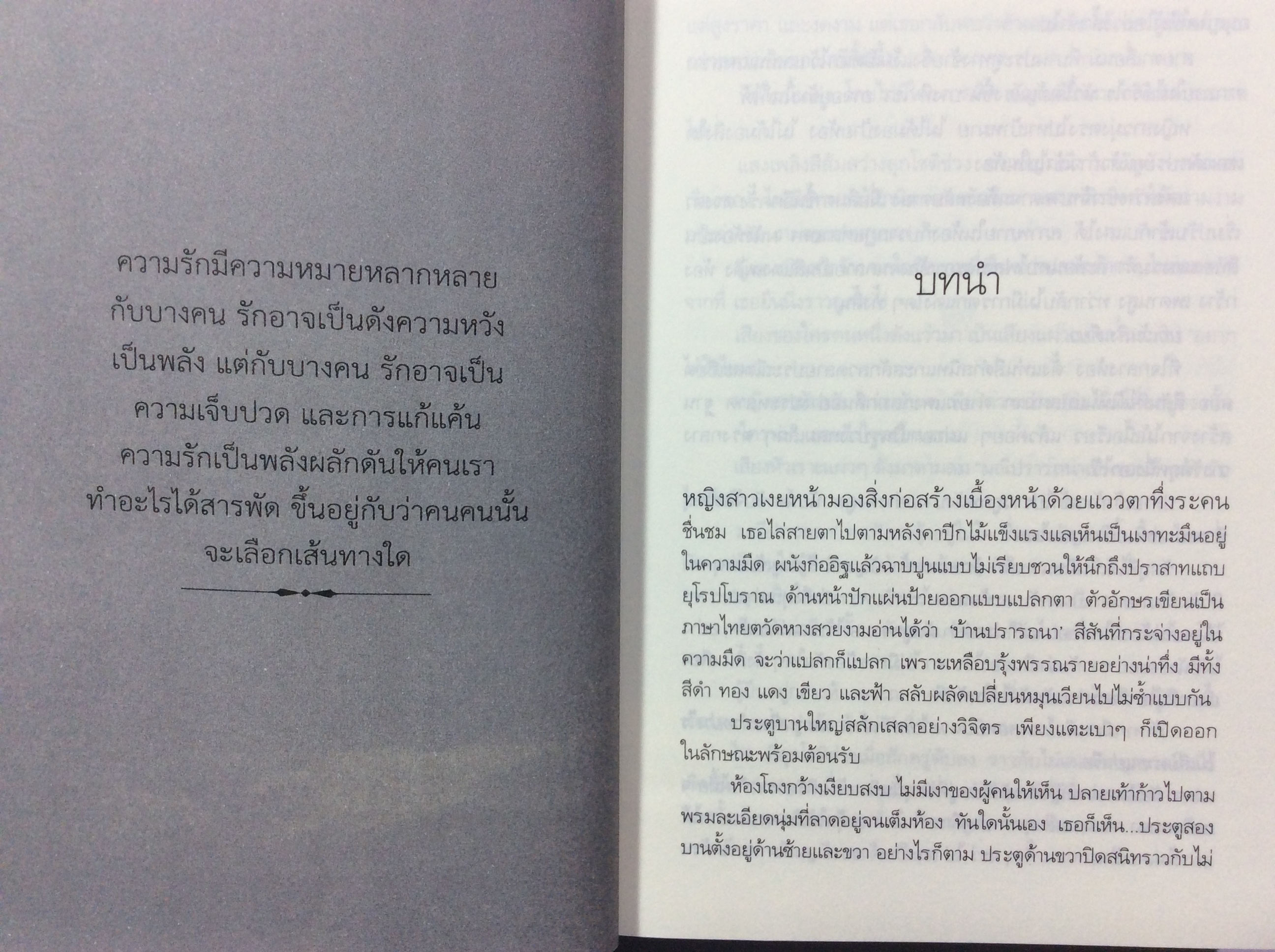พันธะสีเพลิง นิยาย นิยายโรแมนติก หนังสือ