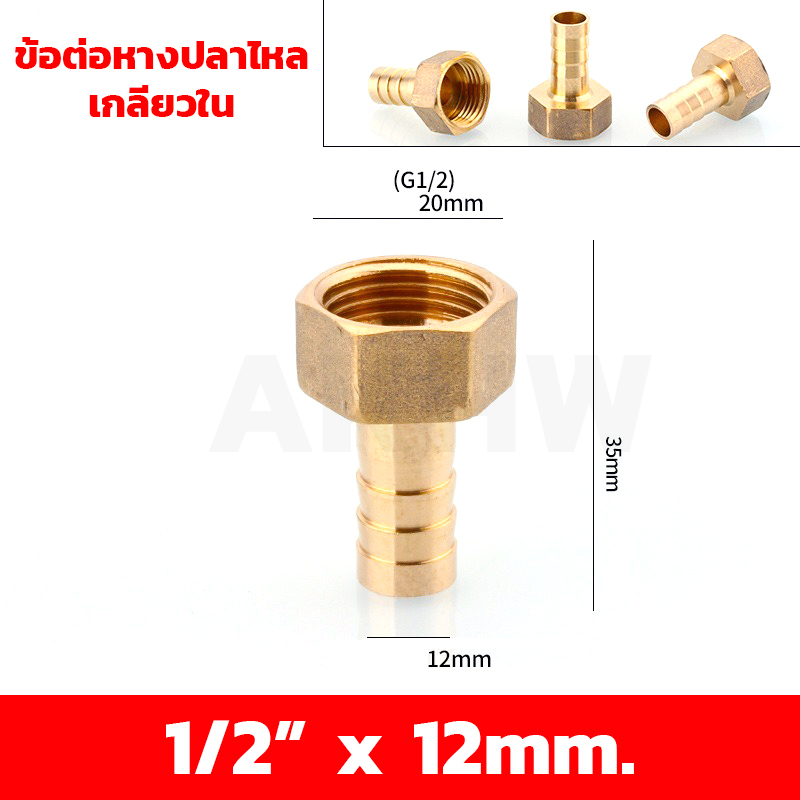 ข้อต่อหางปลาไหลเกลียวใน/เกลียวนอก ทองเหลือง KingsMan ขนาด 1/2นิ้ว 3/4นิ้ว [ขายปลีก/ส่ง]