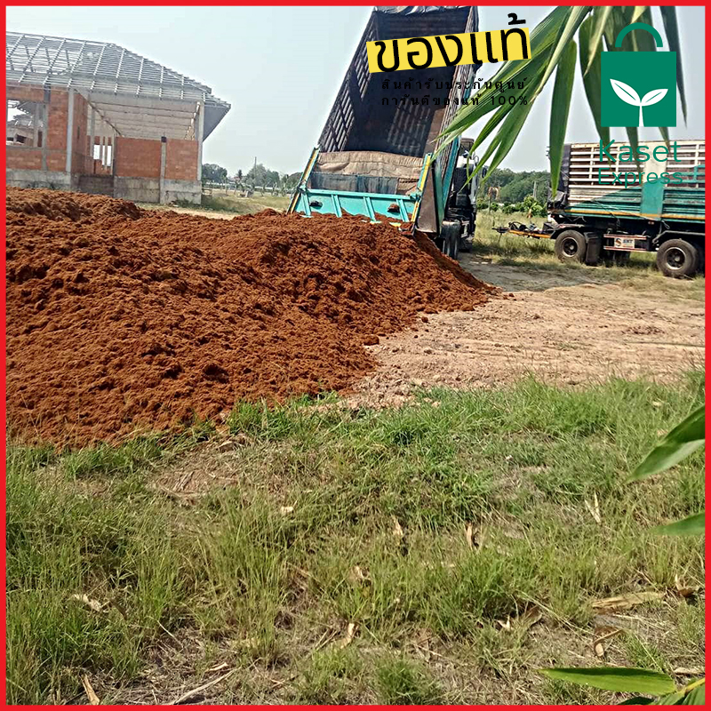 จำหน่ายขุยมะพร้าว มะพร้าวสับ รถพ่วง รถหกล้อ รถกระบะ จัดส่งทั่วประเทศ